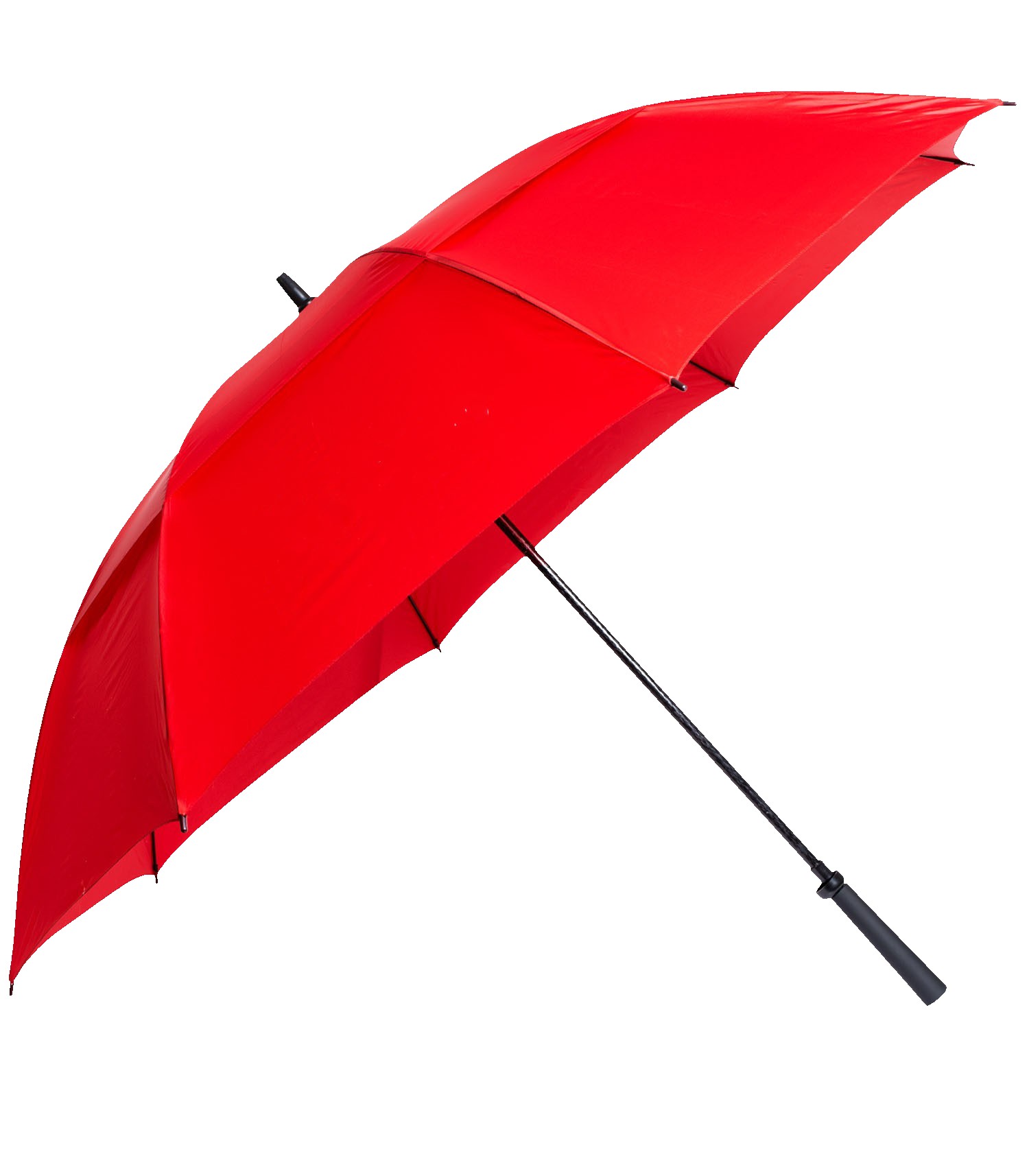 Picture of The Eagle Umbrella