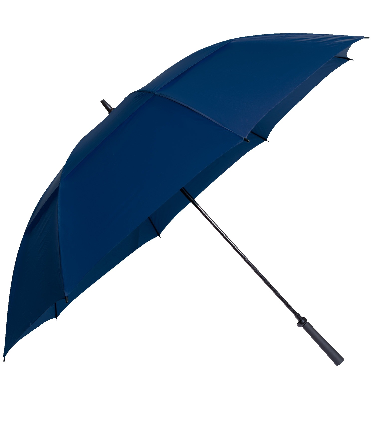 Picture of The Eagle Umbrella