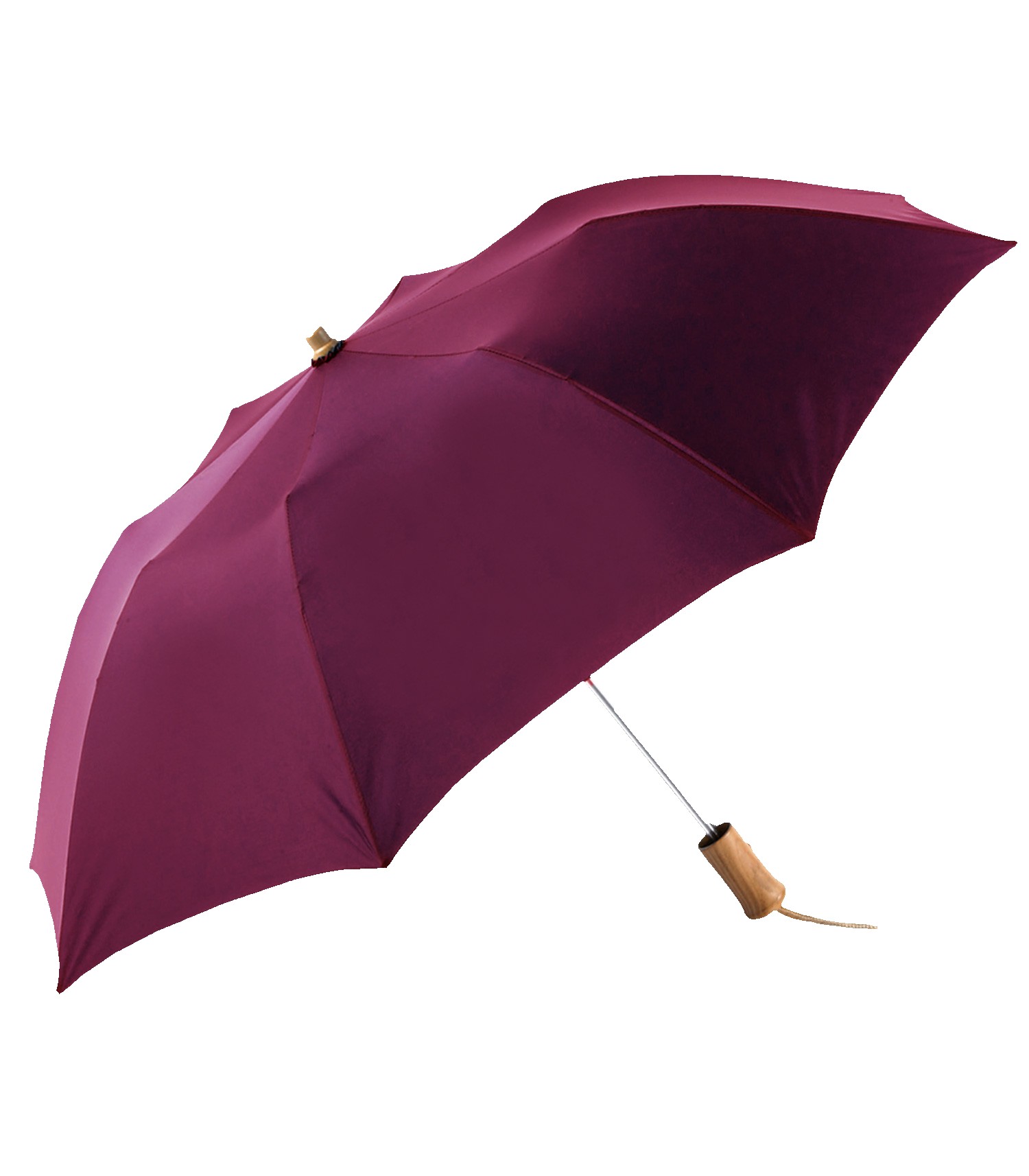 Picture of The Executive Umbrella