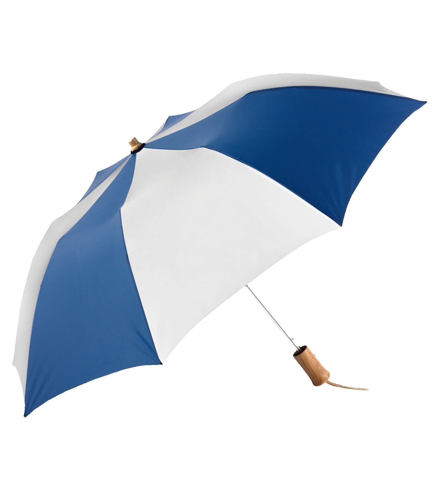 Picture of The Executive Umbrella