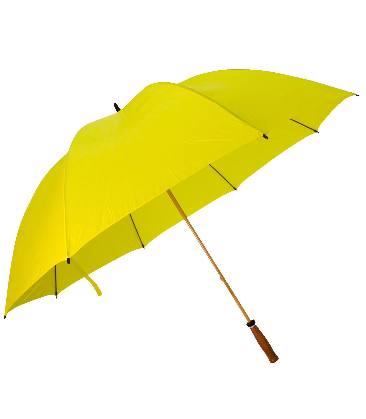 Picture of The Mulligan Golf Umbrella