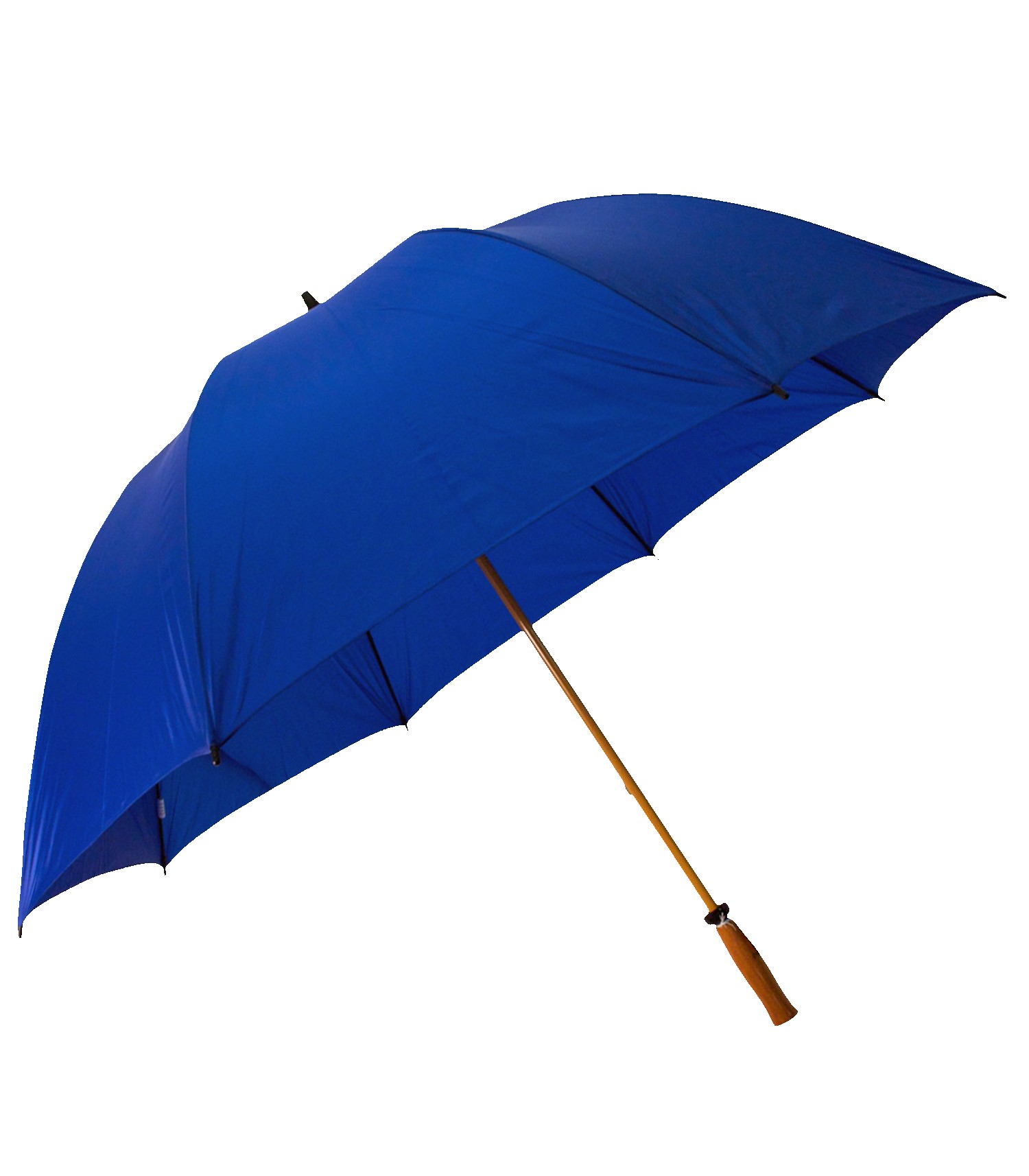 Picture of The Mulligan Golf Umbrella
