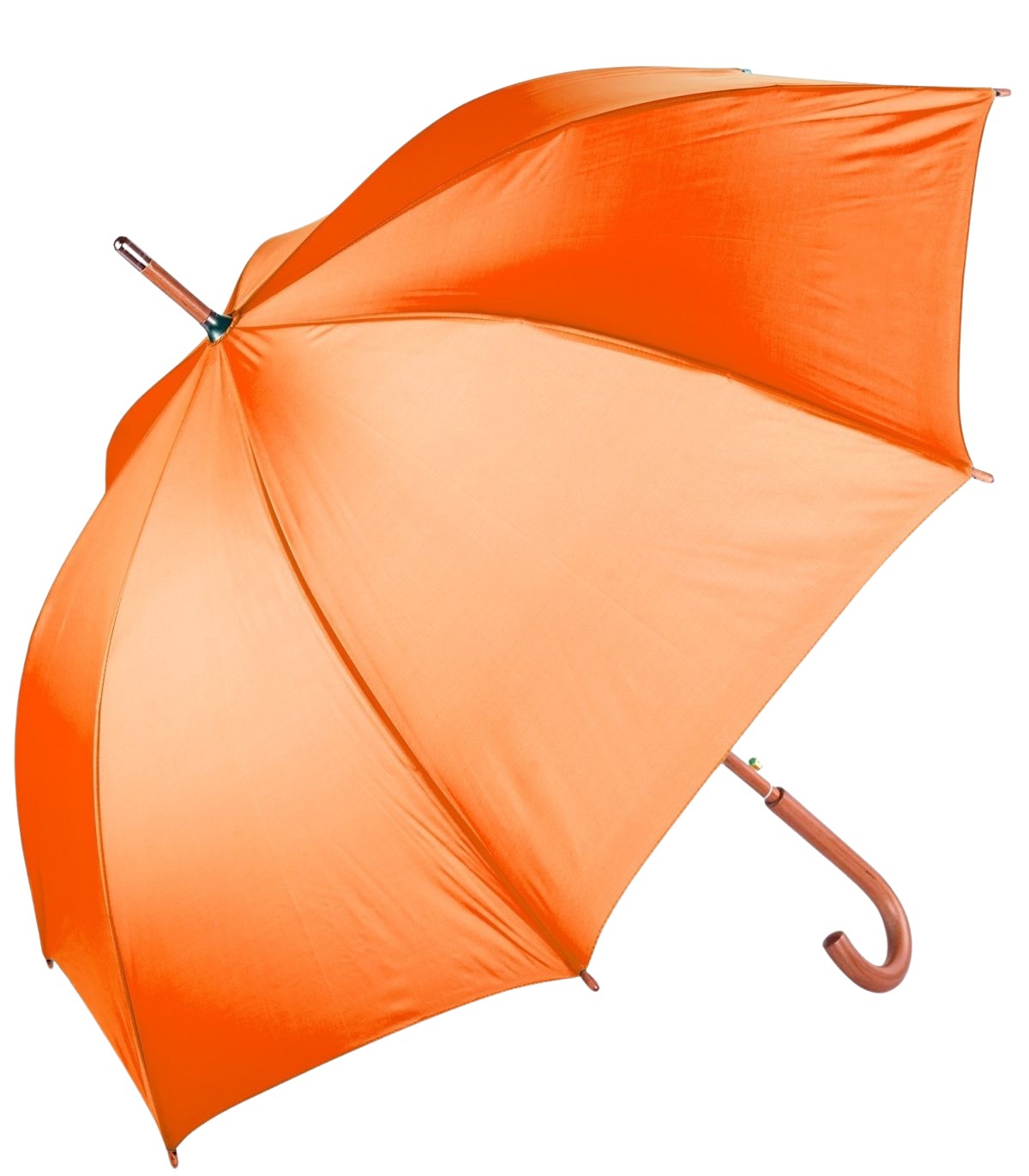 Picture of The Hotel Umbrella
