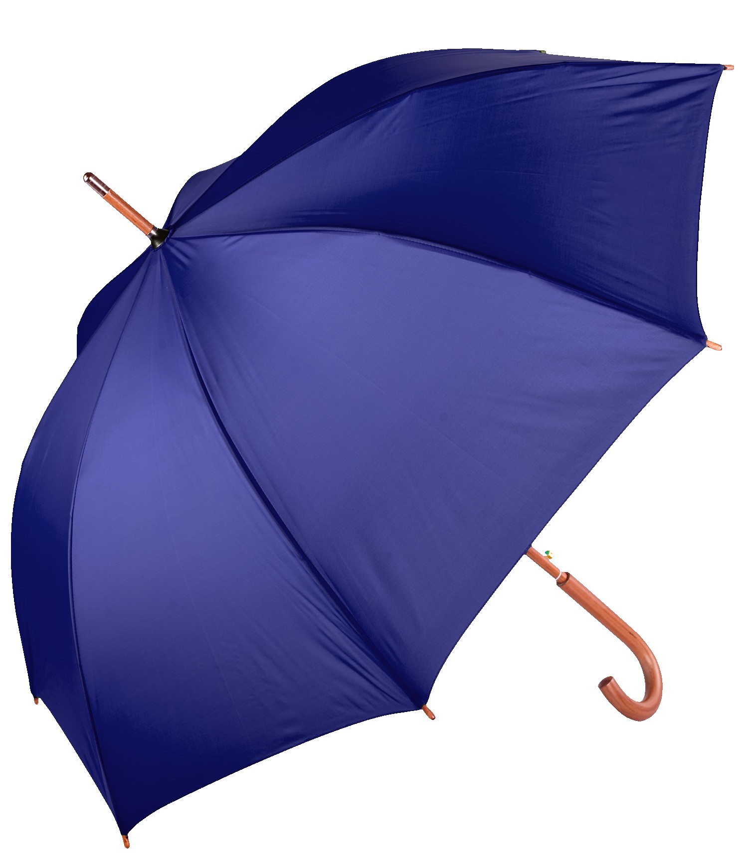 Picture of The Hotel Umbrella