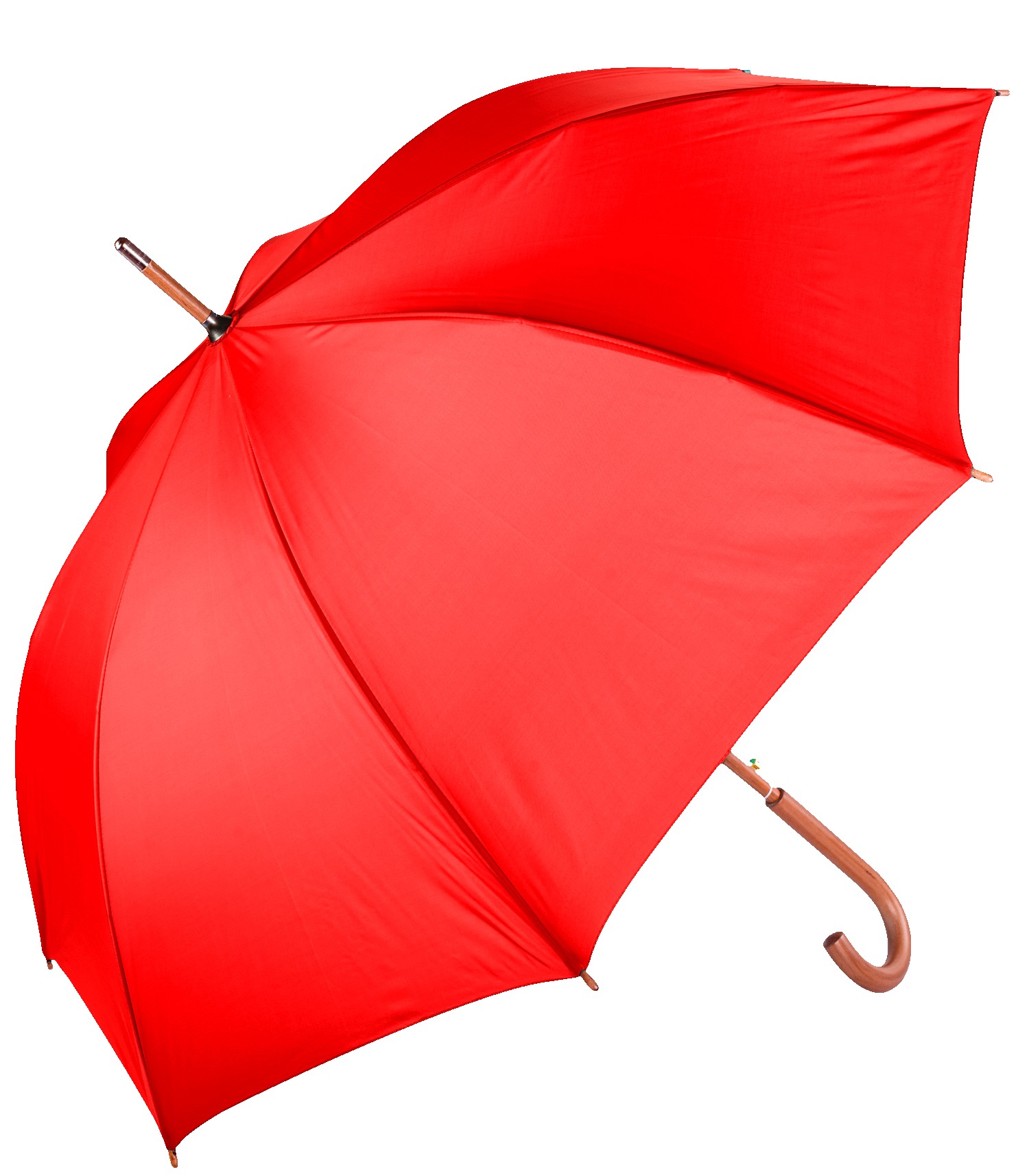 Picture of The Hotel Umbrella