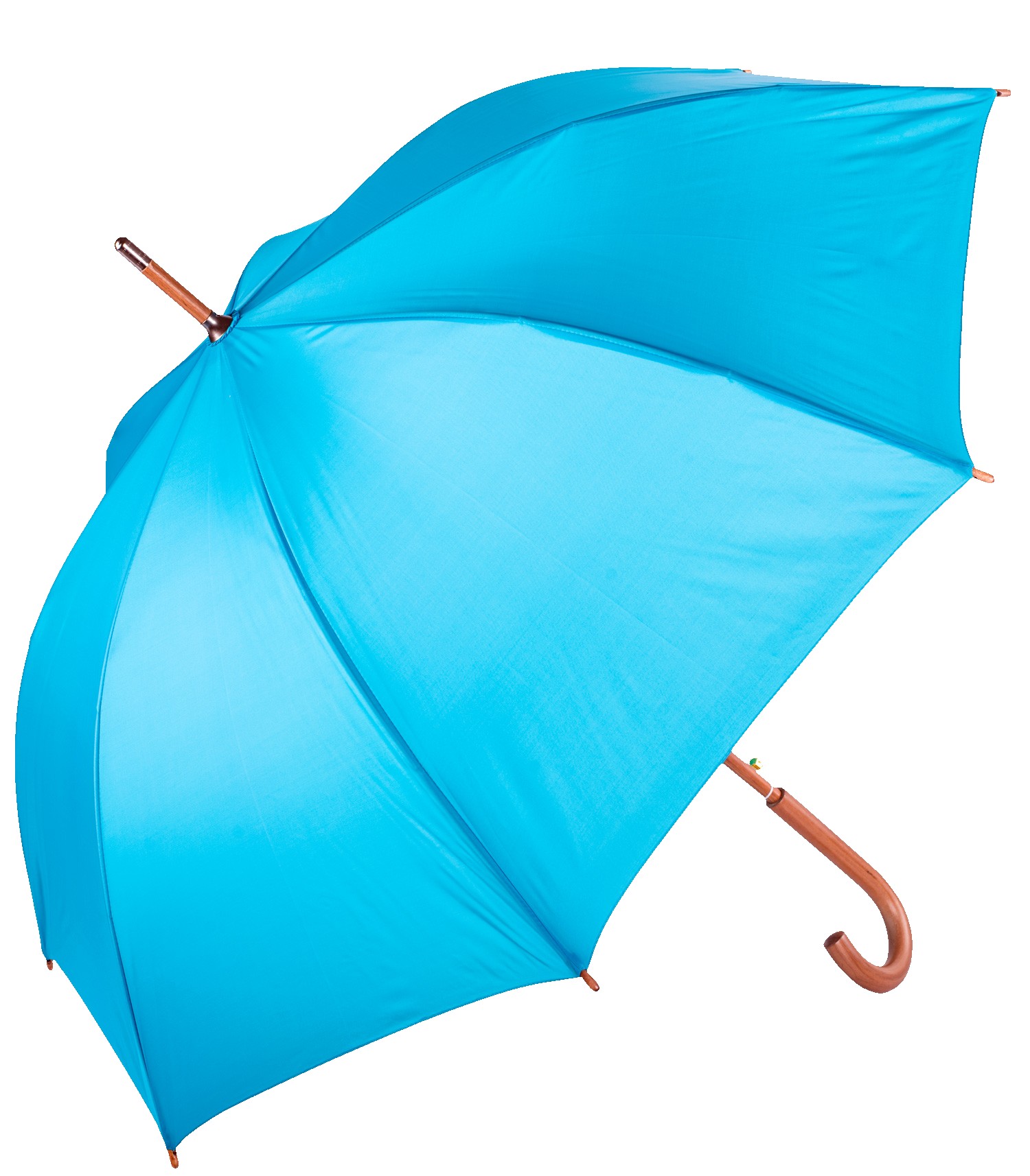 Picture of The Hotel Umbrella