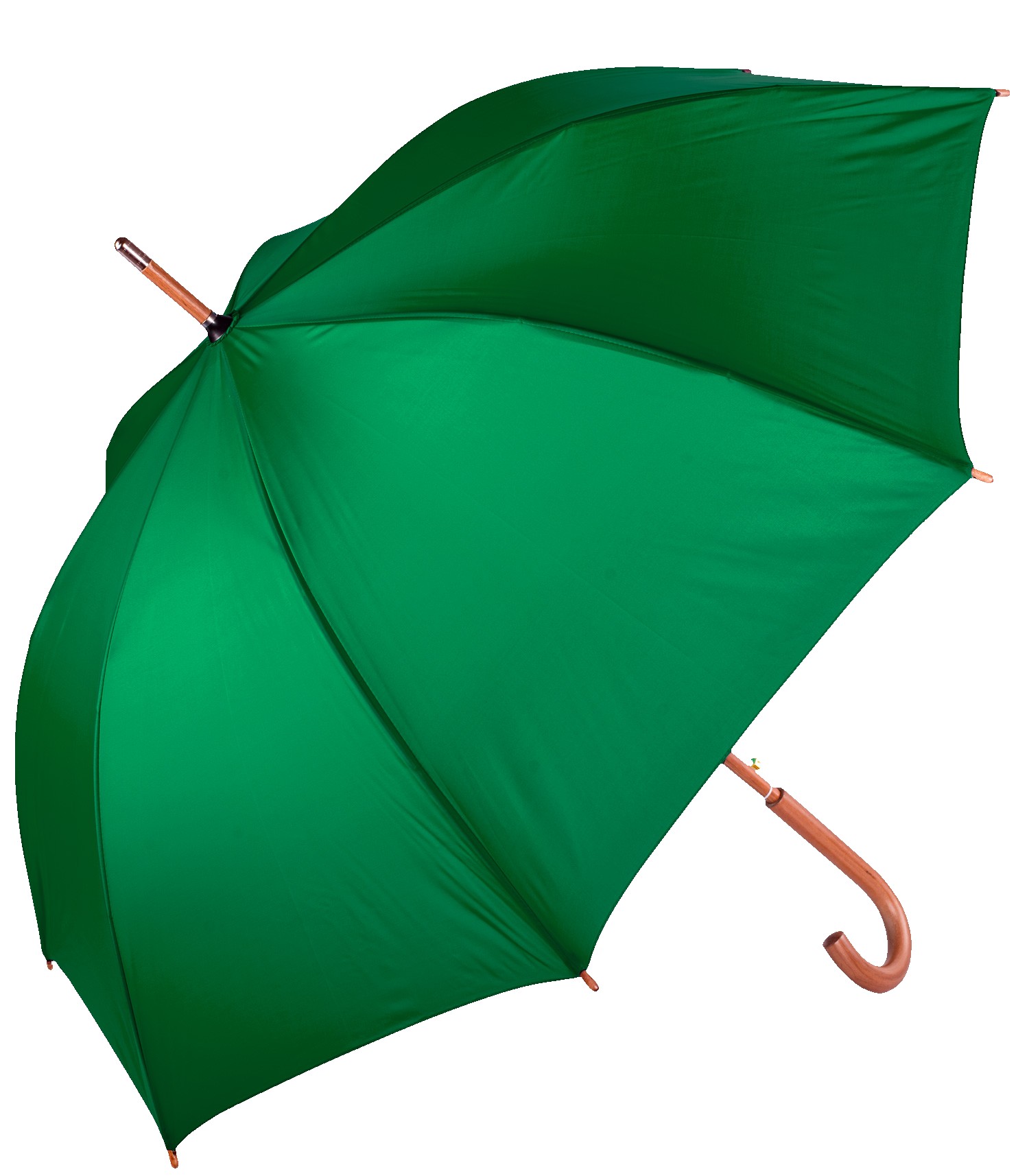 Picture of The Hotel Umbrella