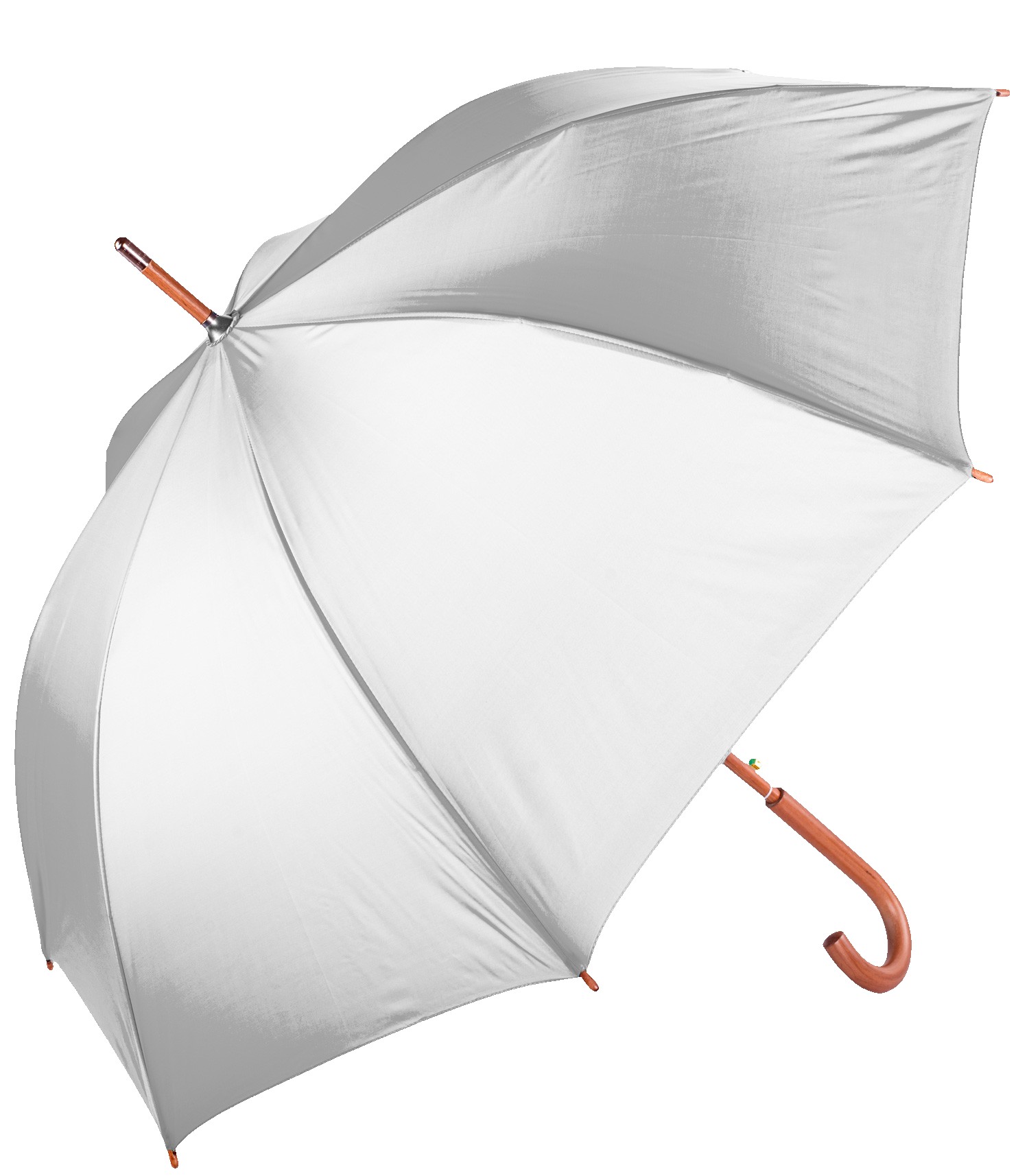Picture of The Hotel Umbrella