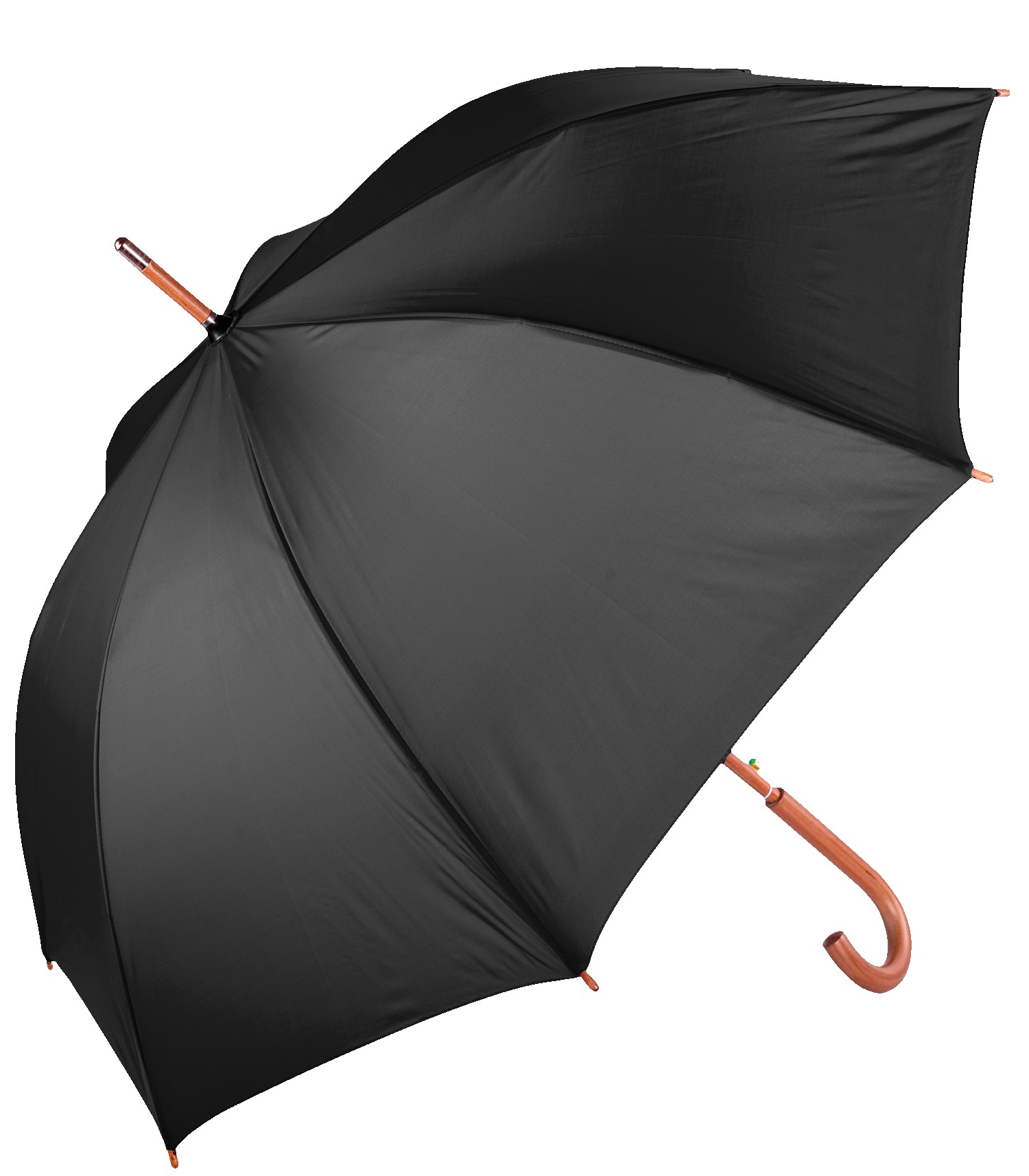 Picture of The Hotel Umbrella
