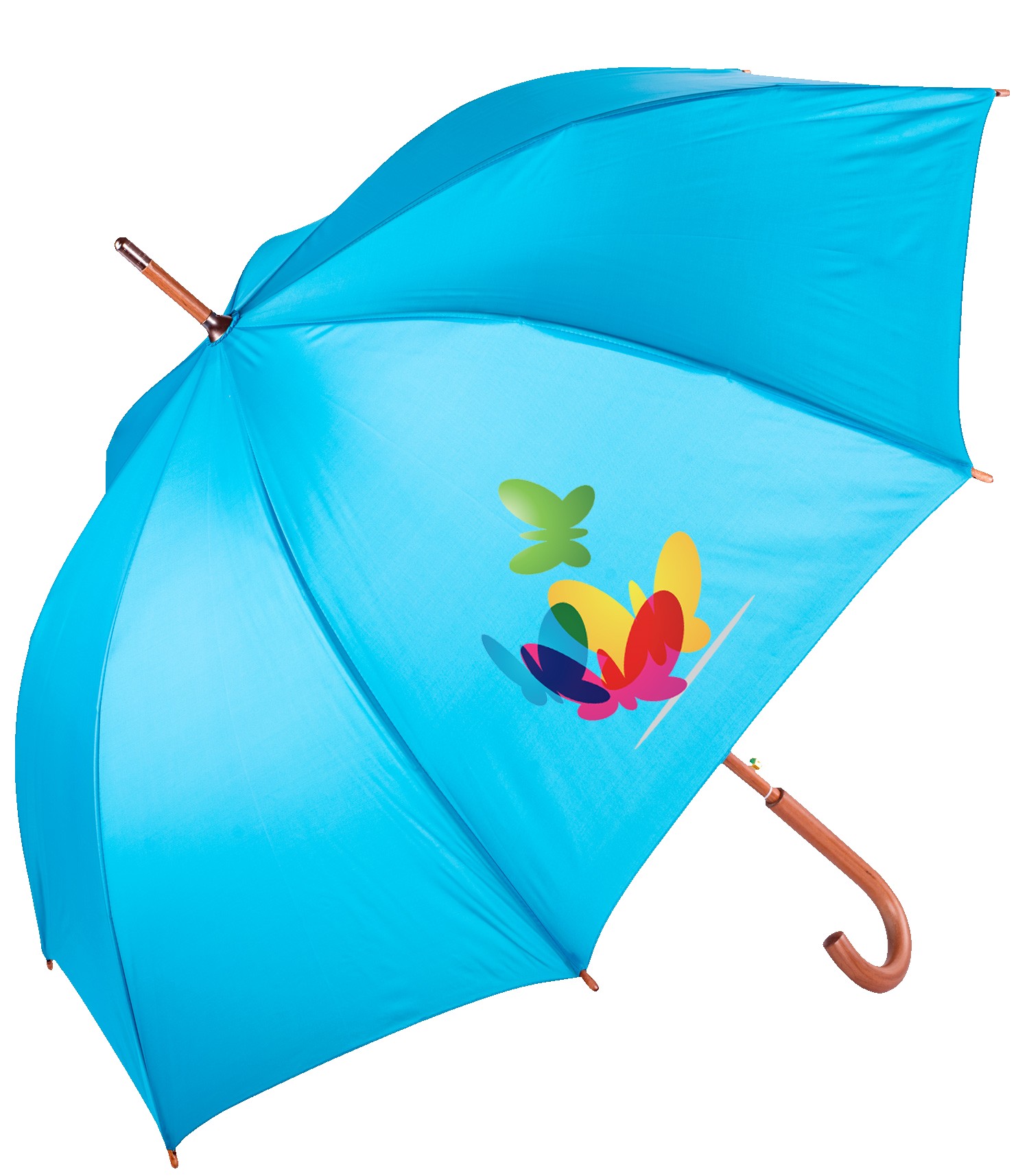 Picture of The Hotel Umbrella