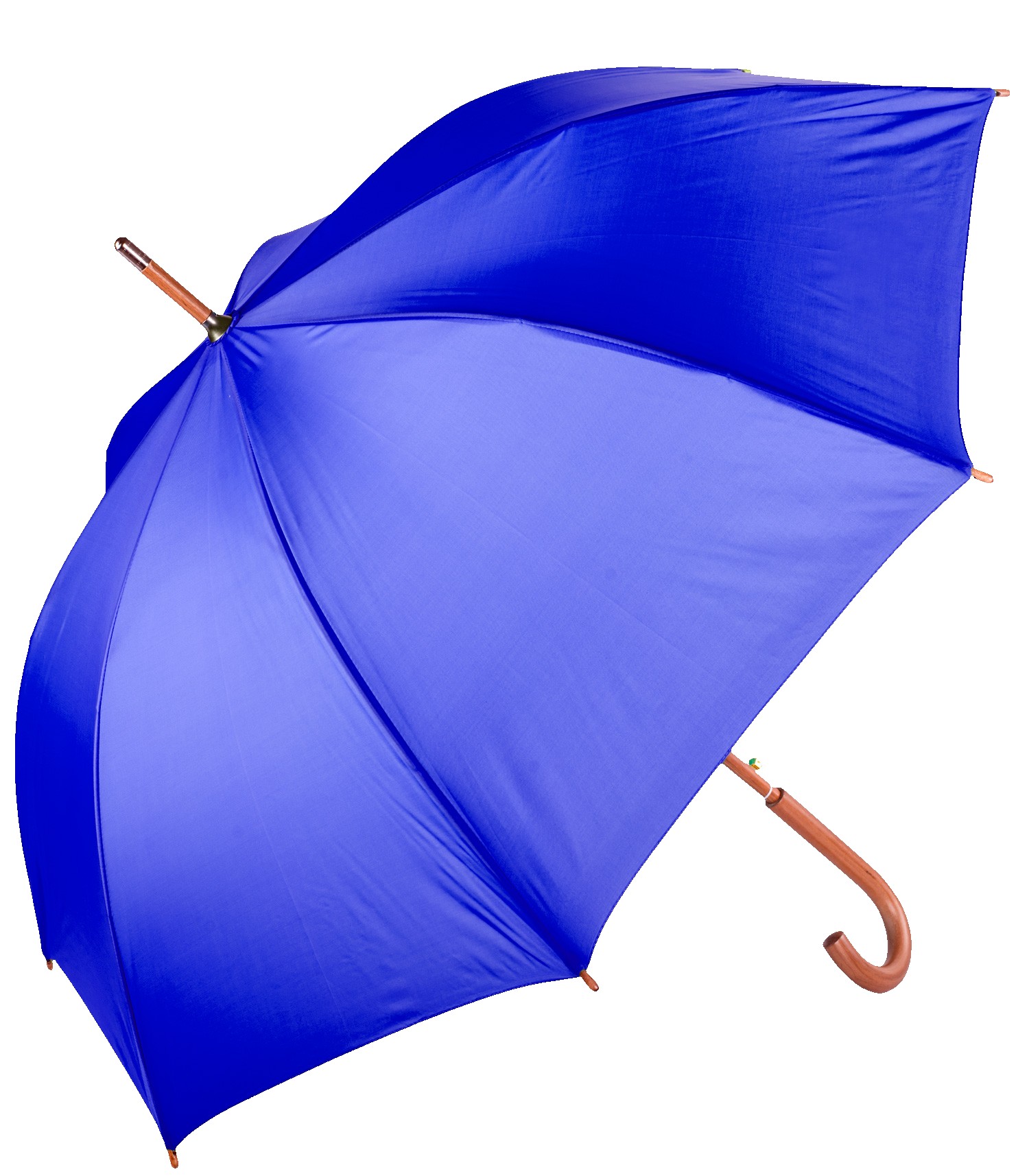 Picture of The Hotel Umbrella