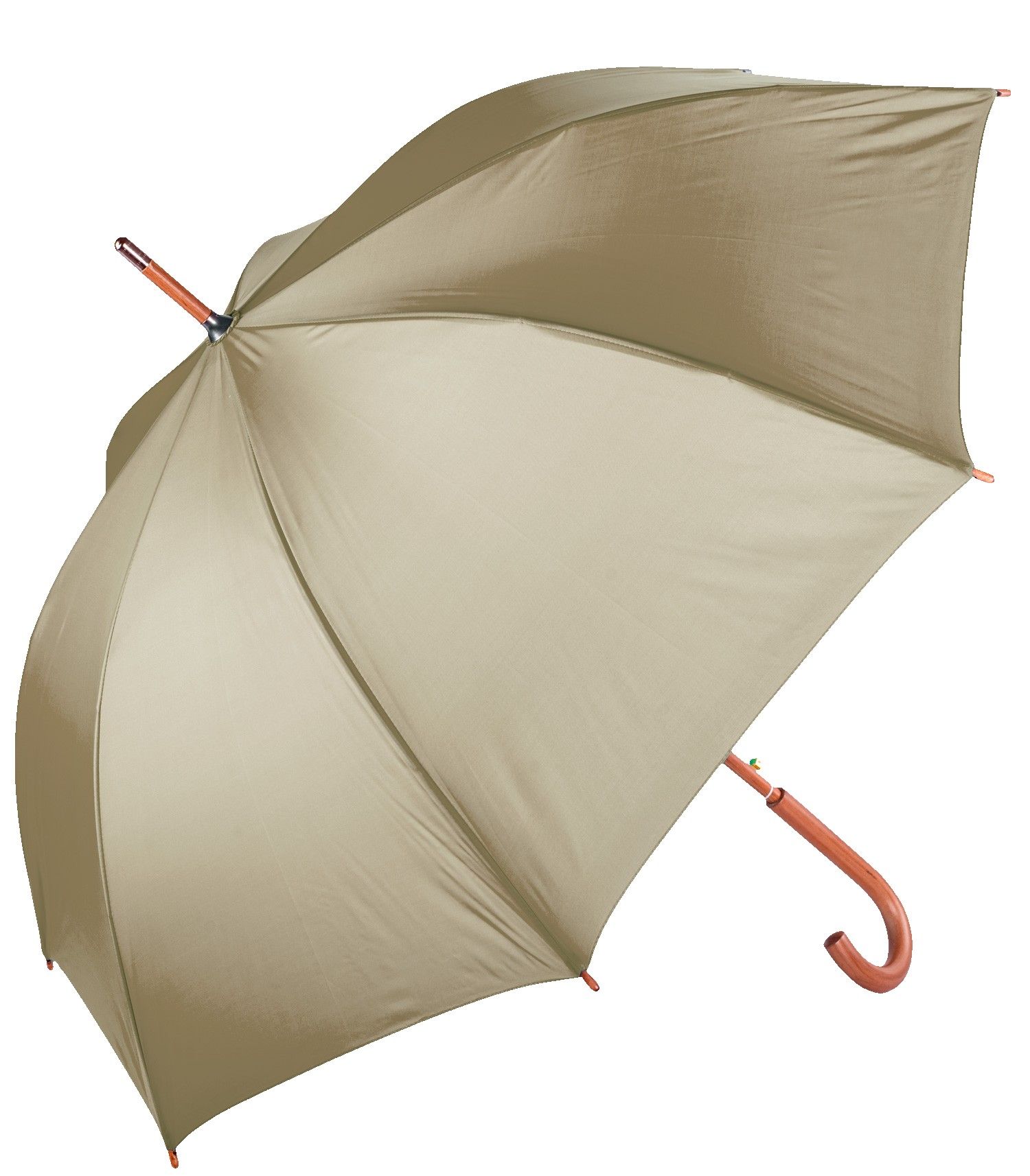 Picture of The Hotel Umbrella