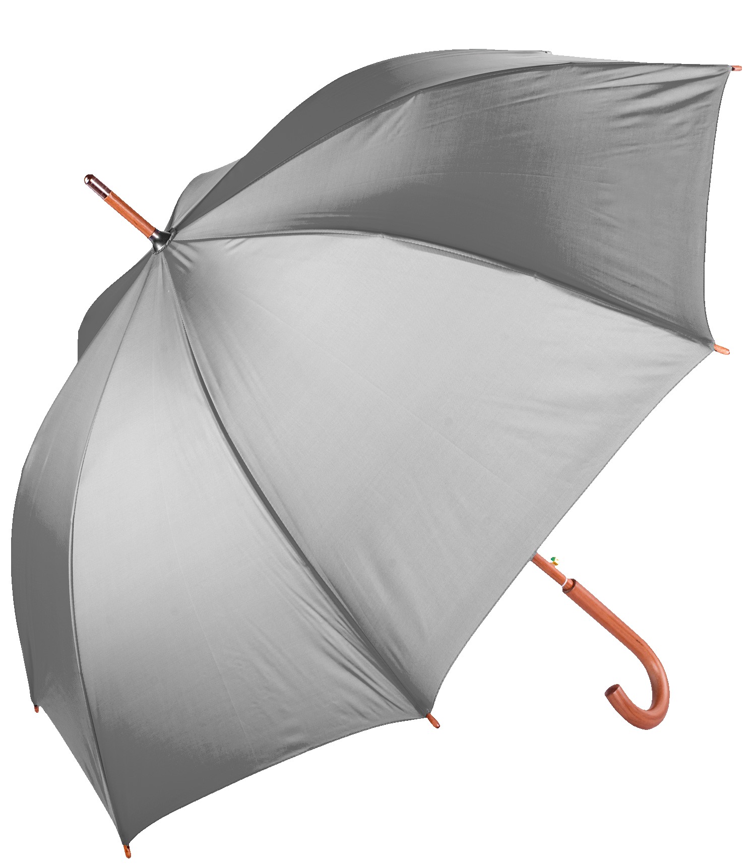 Picture of The Hotel Umbrella