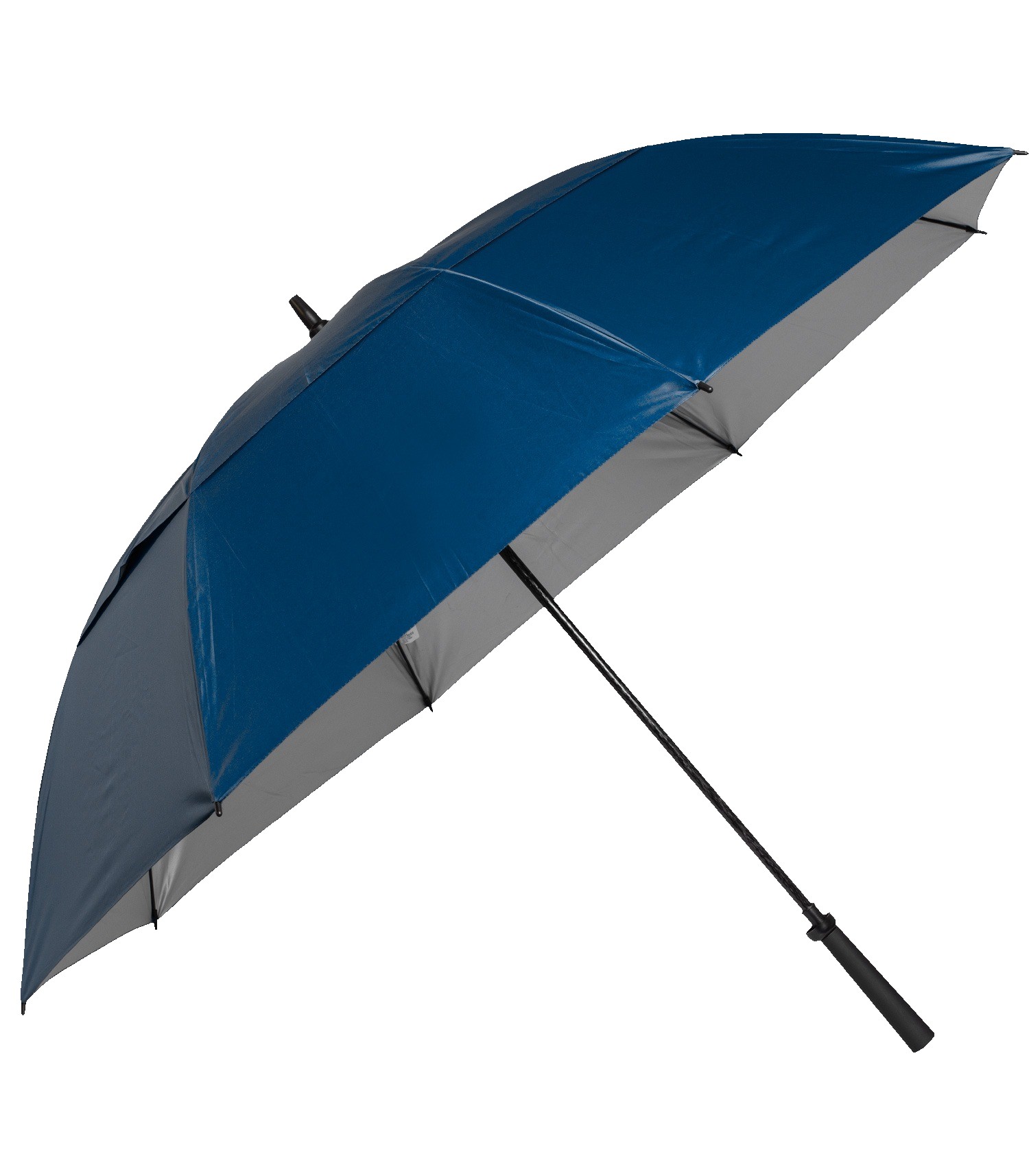 Picture of The Raydefyer Umbrella