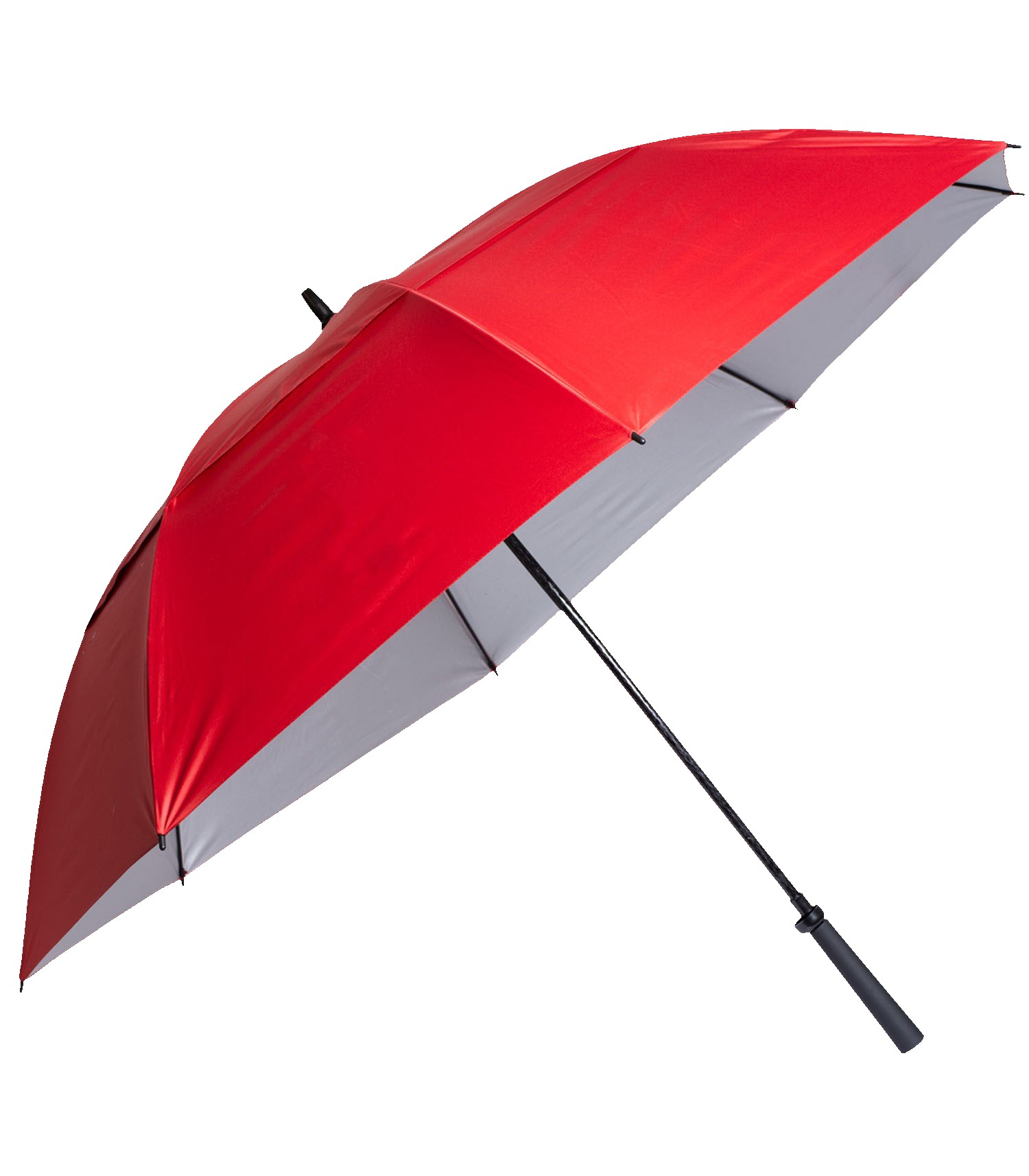 Picture of The Raydefyer Umbrella