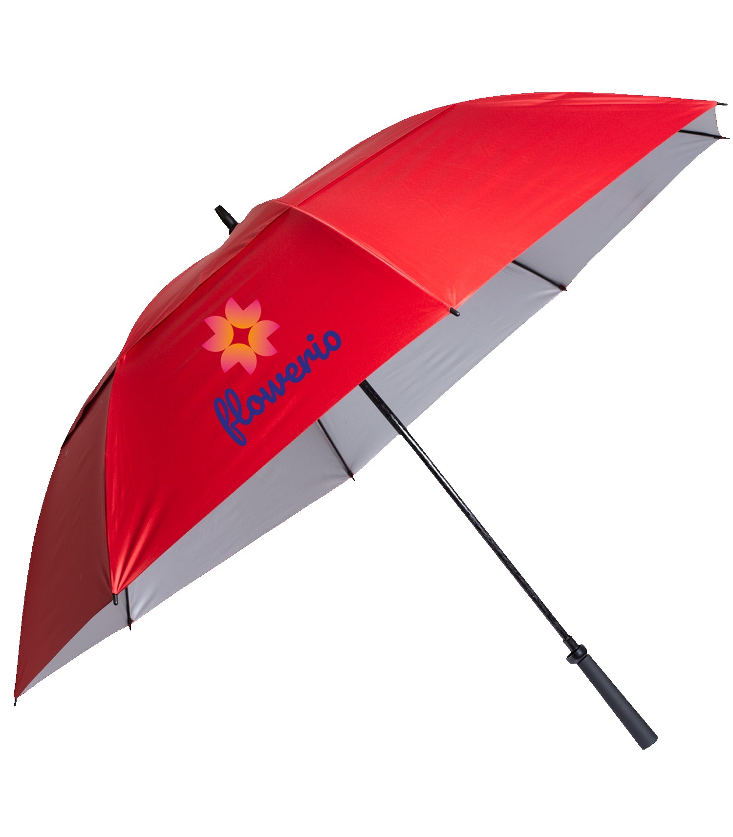 Picture of The Raydefyer Umbrella