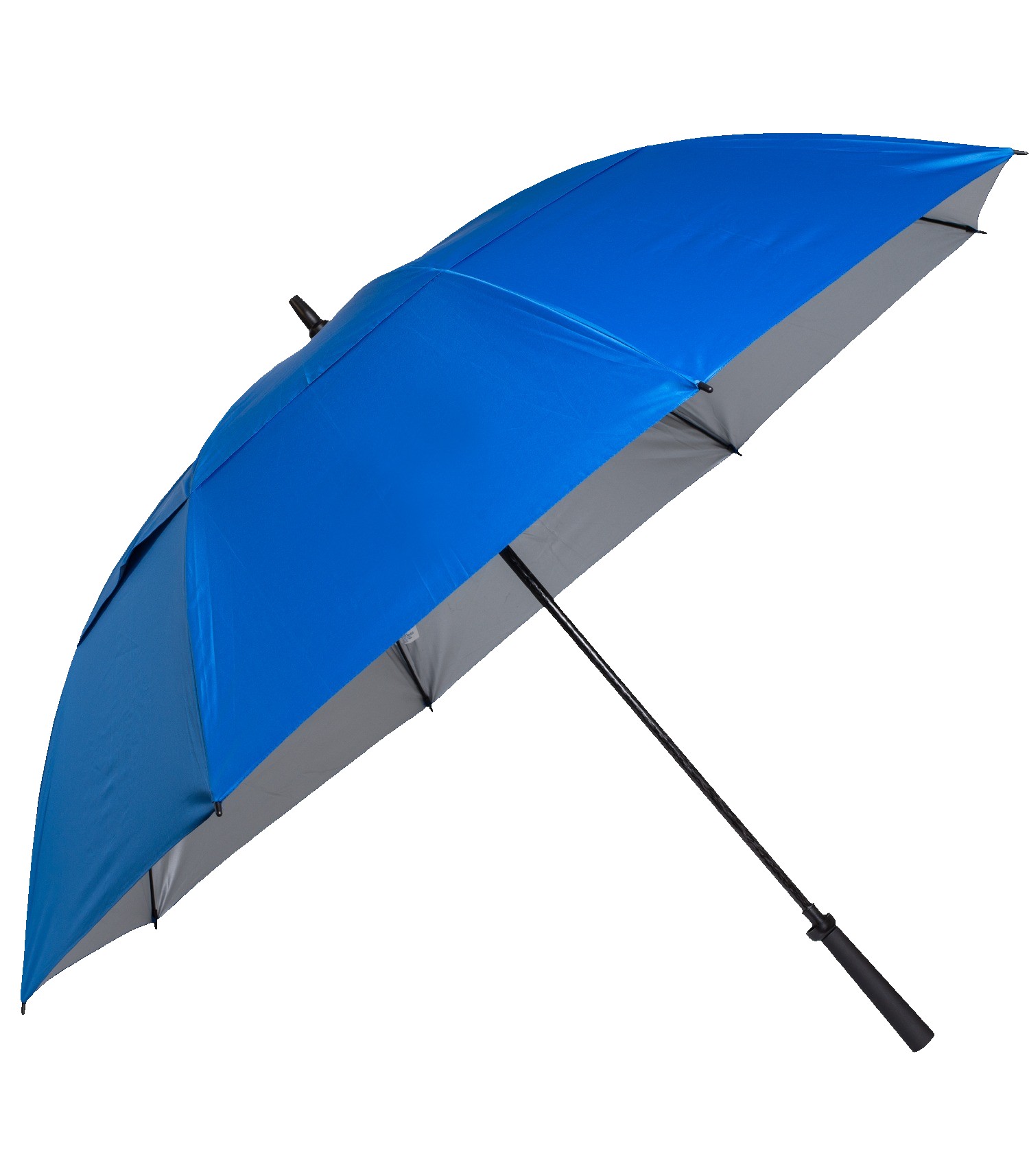 Picture of The Raydefyer Umbrella