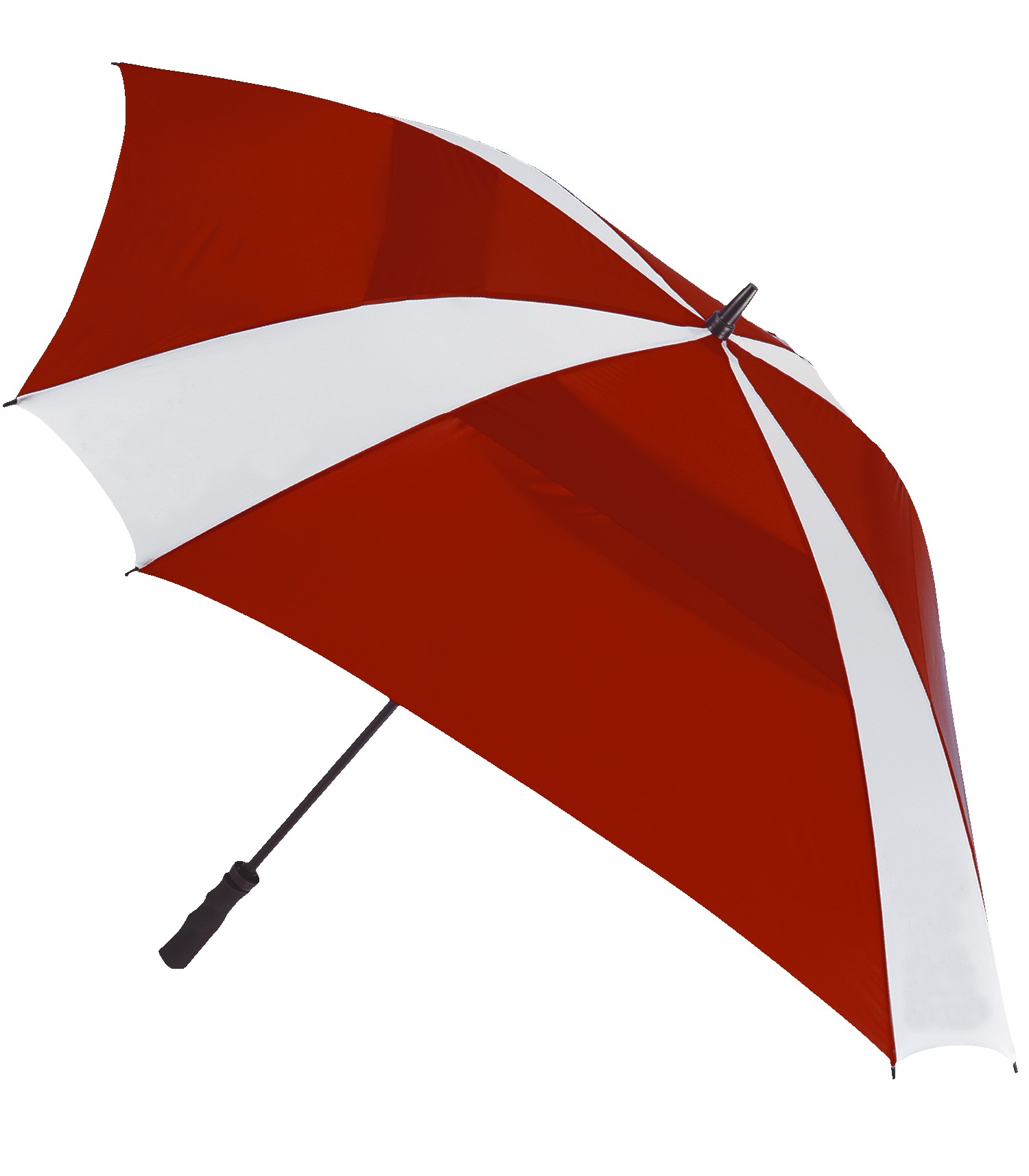 Picture of The Cyclone Umbrella