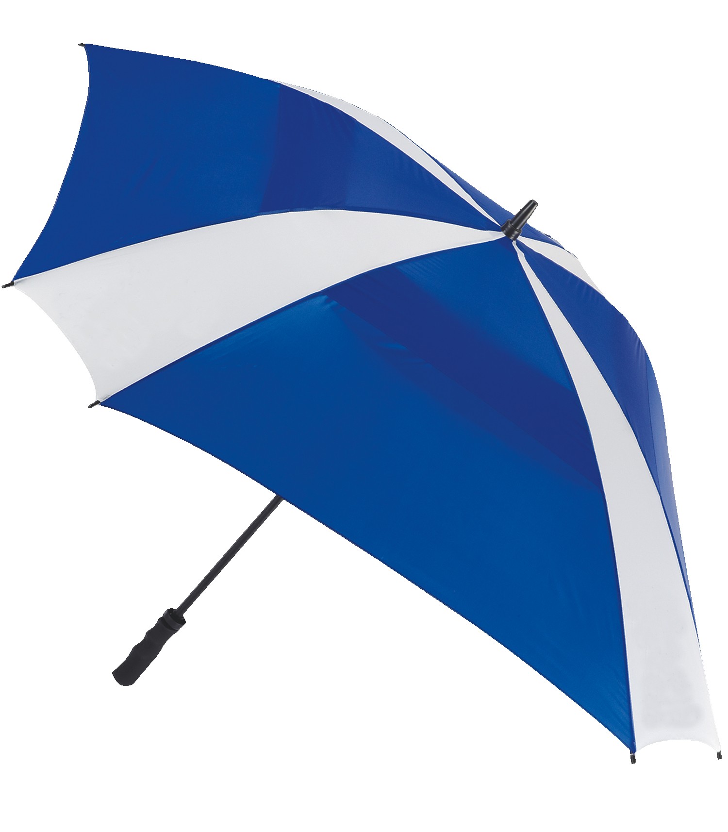 Picture of The Cyclone Umbrella