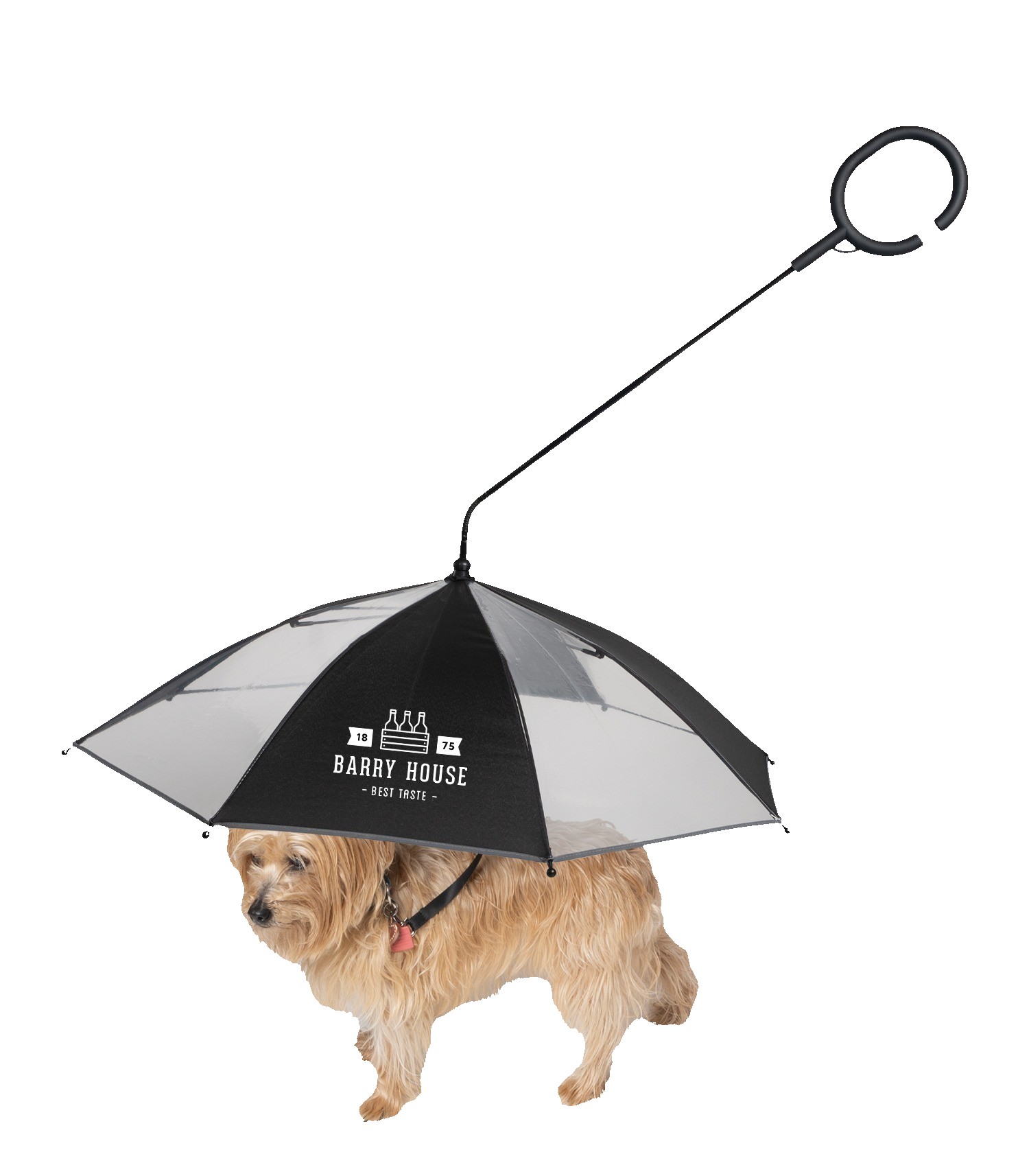 Picture of The Doggo Umbrella