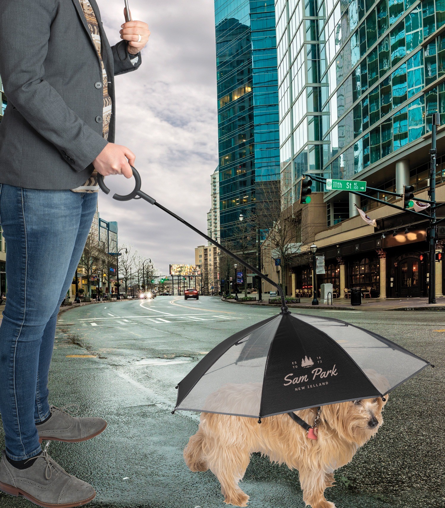 Picture of The Doggo Umbrella