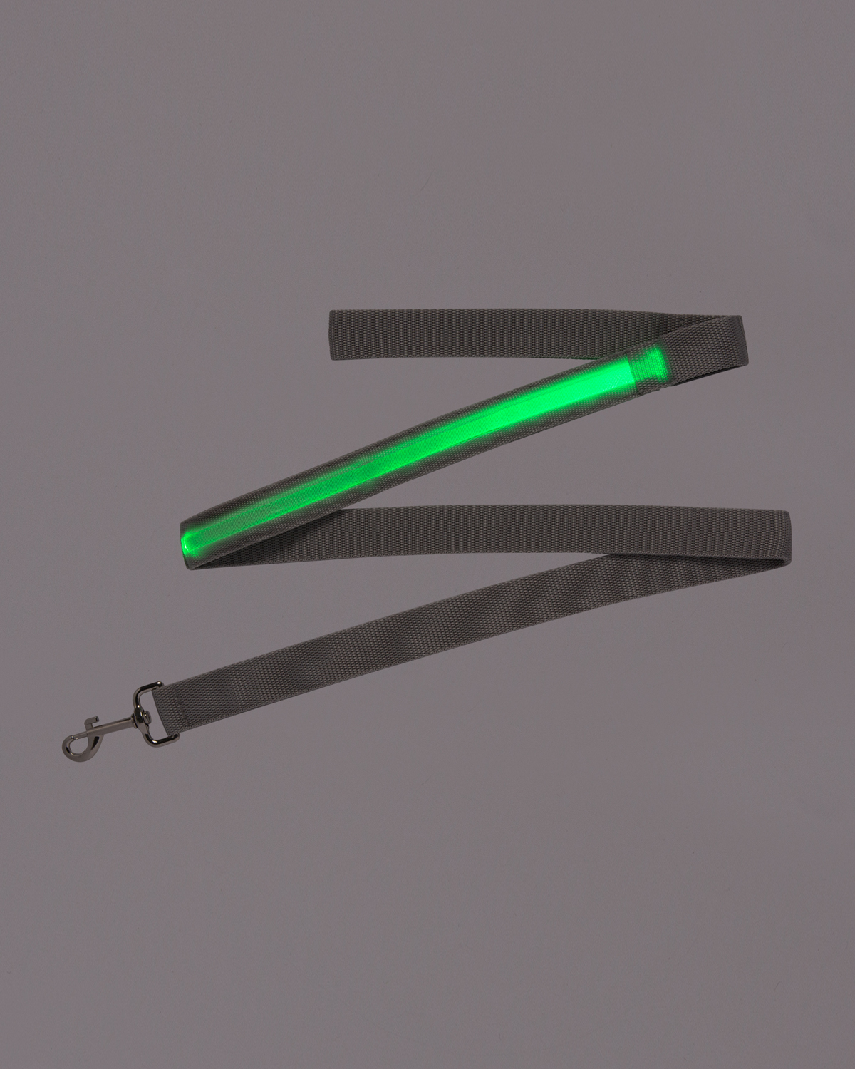 Picture of Rechargeable LED Light-Up Dog Leash.
