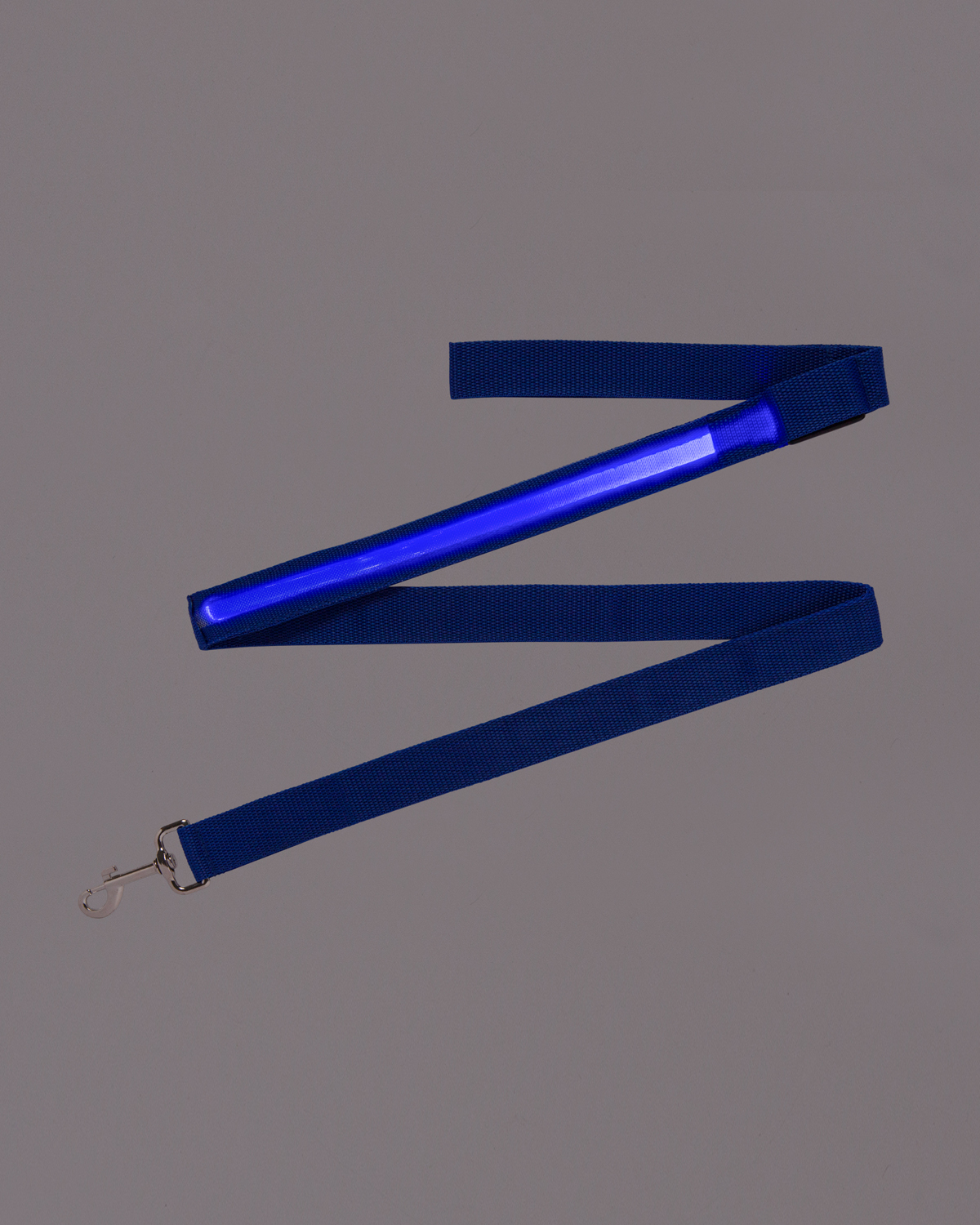 Picture of Rechargeable LED Light-Up Dog Leash.