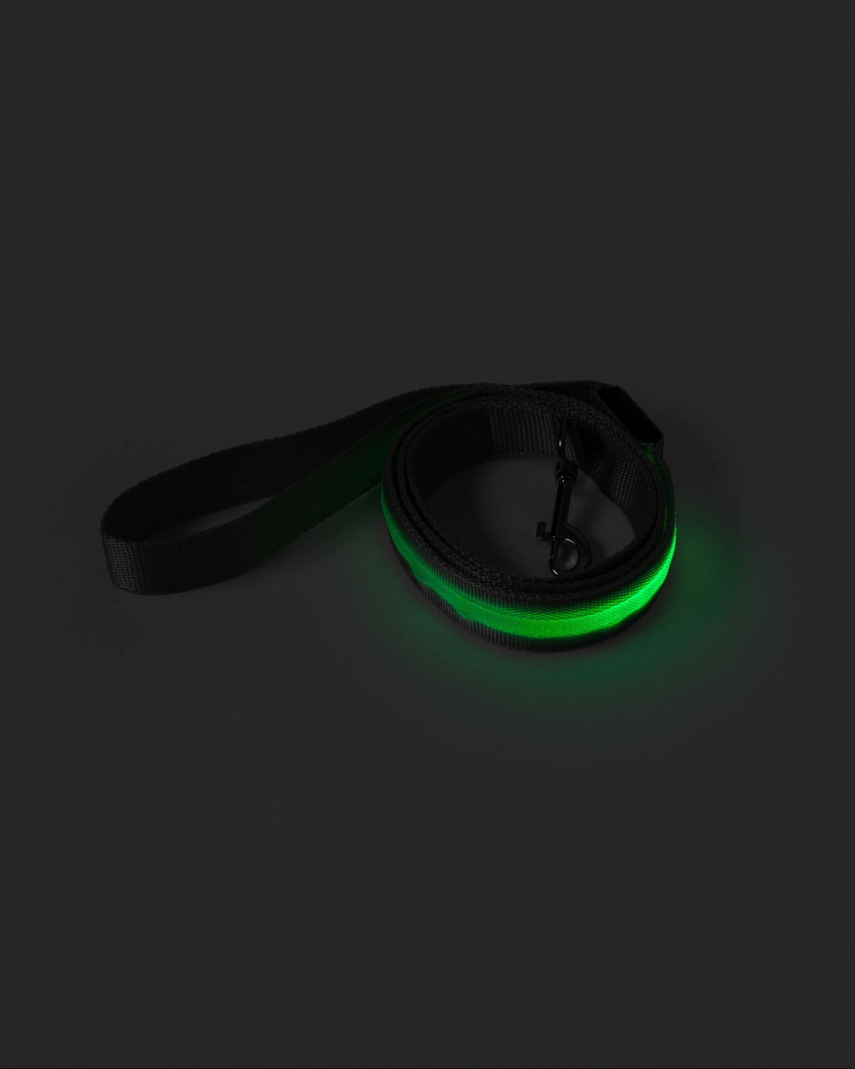 Picture of Rechargeable LED Light-Up Dog Leash.