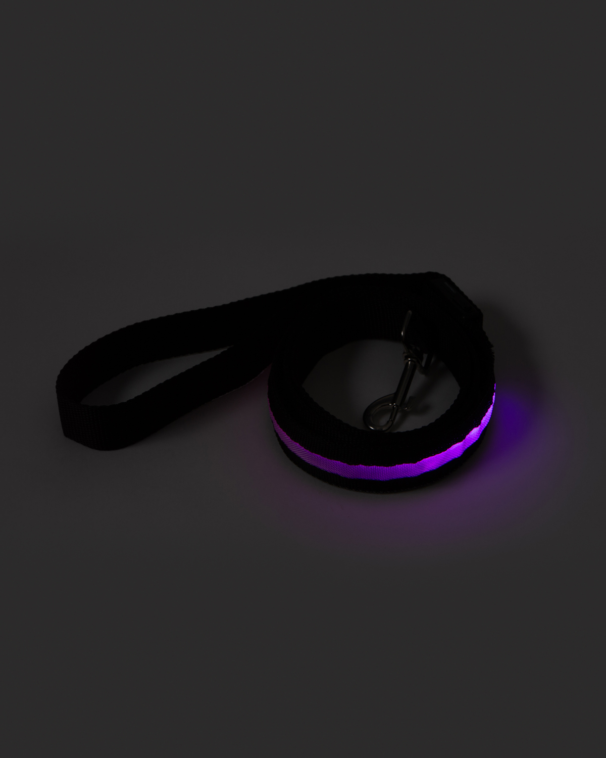 Picture of Rechargeable LED Light-Up Dog Leash.