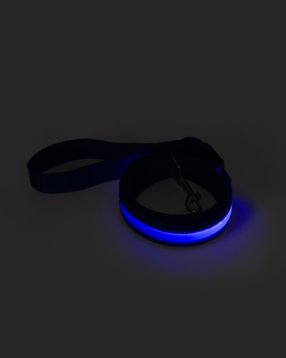Picture of Rechargeable LED Light-Up Dog Leash.