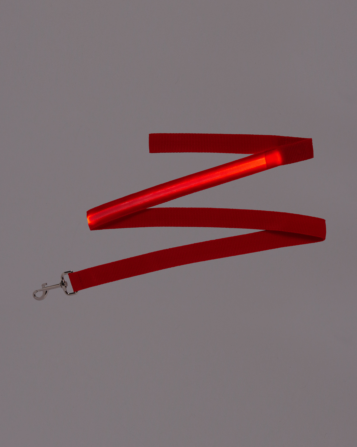 Picture of Rechargeable LED Light-Up Dog Leash.