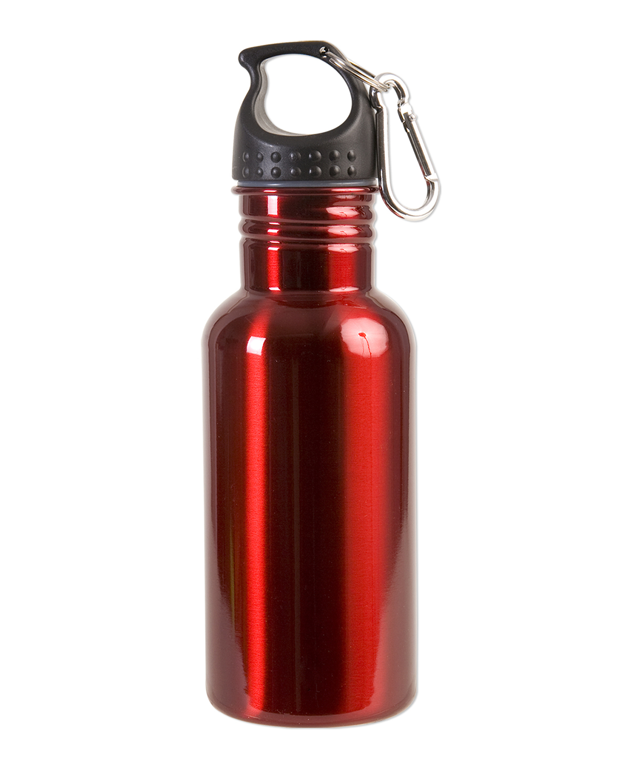 Picture of 17 oz. Stainless Steel Adventure Water Bottle With Carabiner.