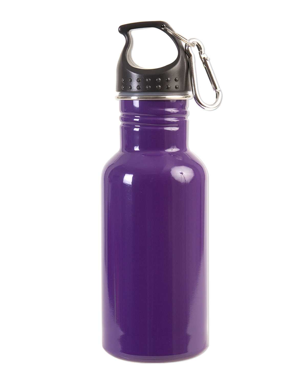 Picture of 17 oz. Stainless Steel Adventure Water Bottle With Carabiner.