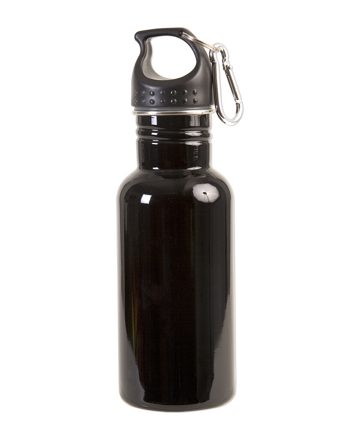 Picture of 17 oz. Stainless Steel Adventure Water Bottle With Carabiner.