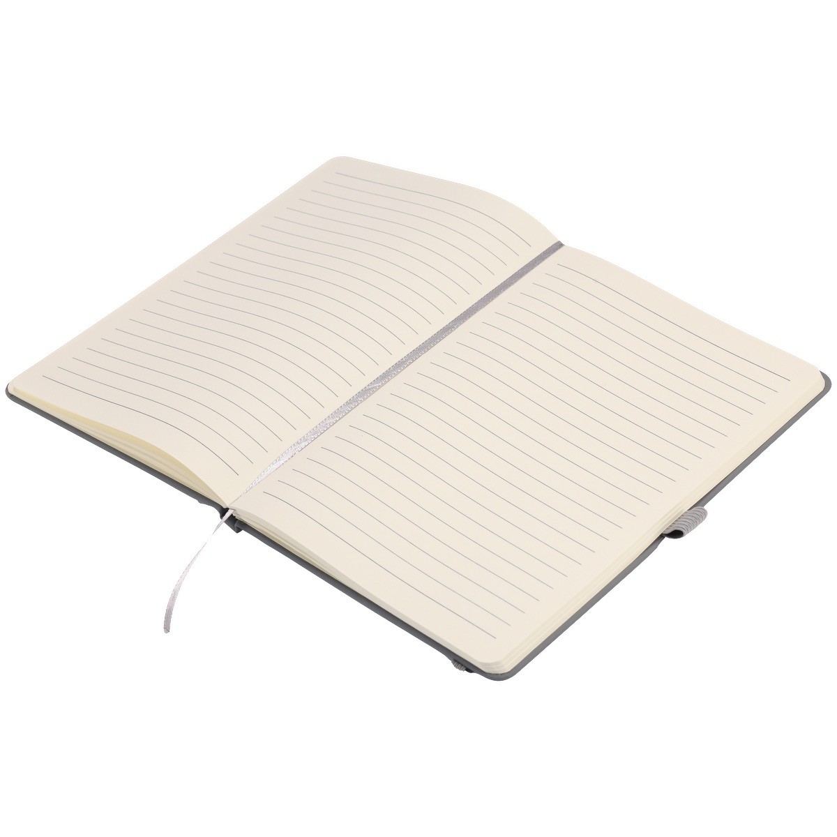 Picture of EarthTrendz 5.58.25 Notebook