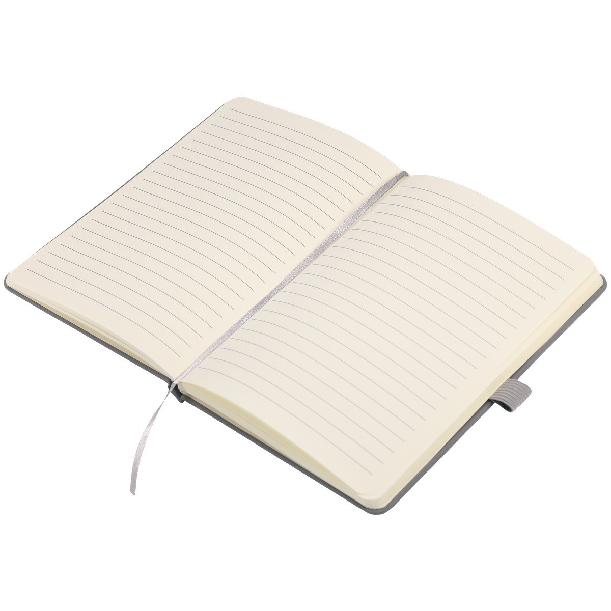 Picture of EarthTrendz 57 Notebook