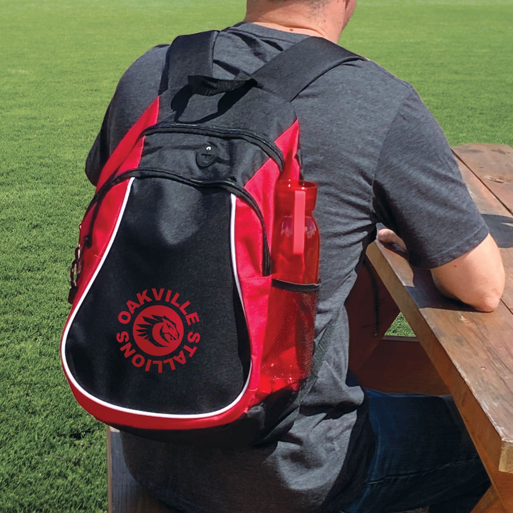 Picture of Value Backpack