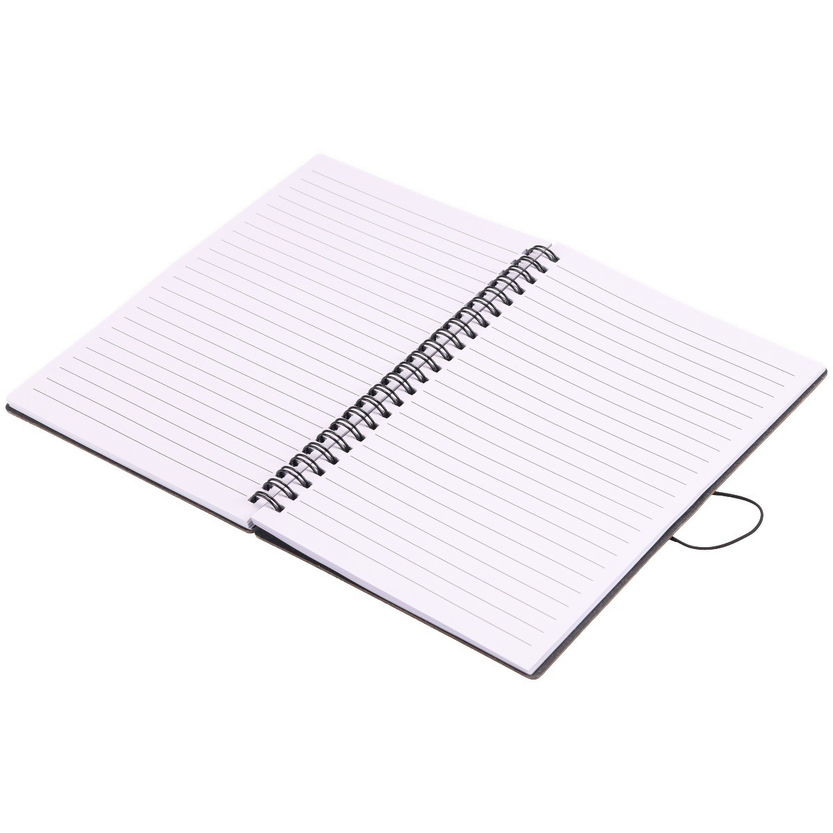 Picture of EarthTrendz 5.58.25 Spiral Notebook