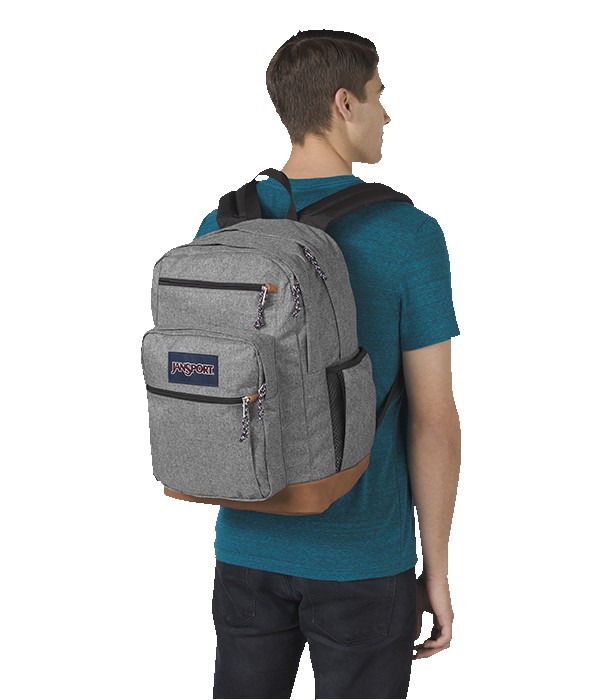 Picture of JanSport Cool Student Backpack