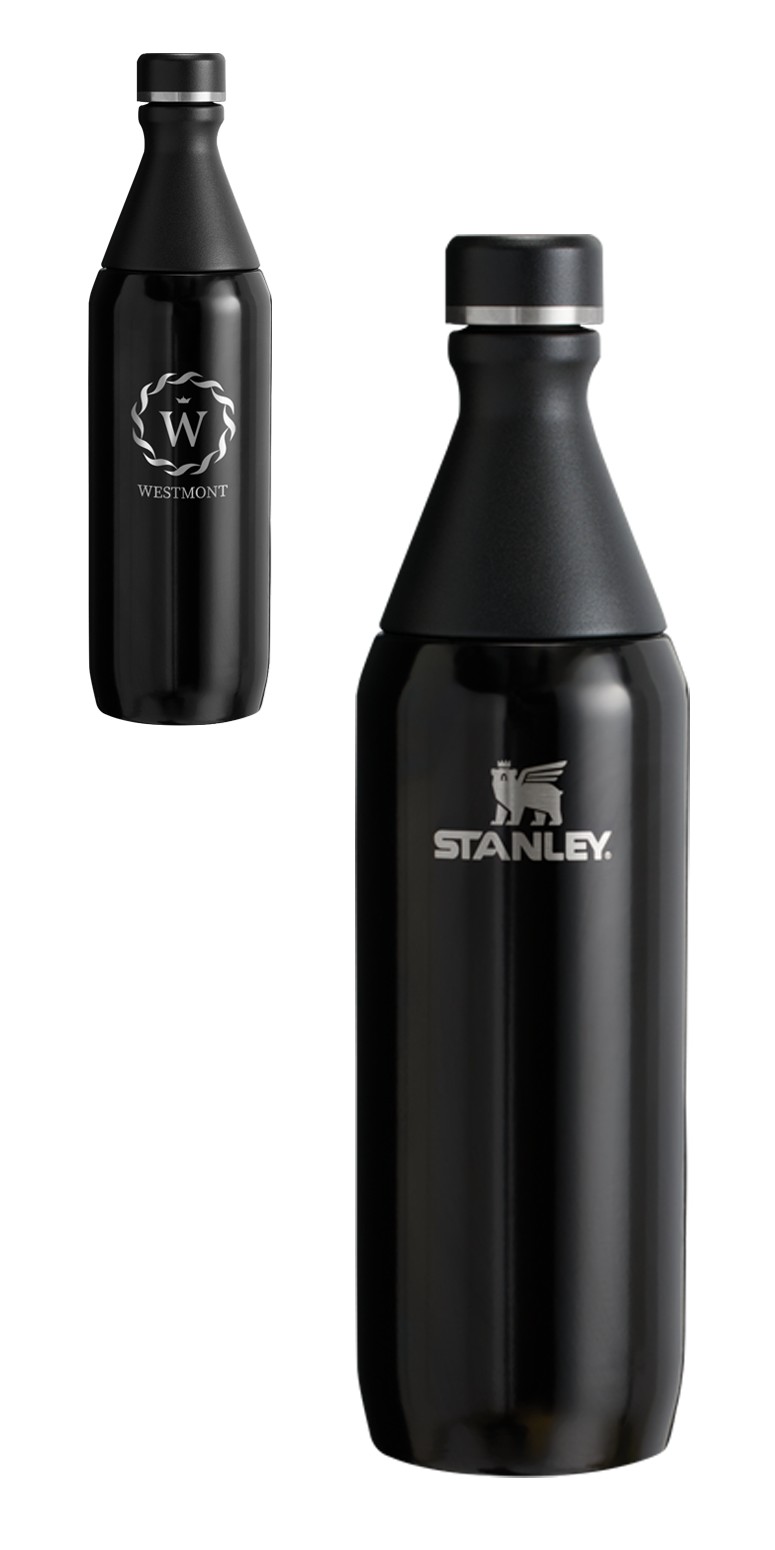 Picture of Stanley 20oz All Day Slim Bottle