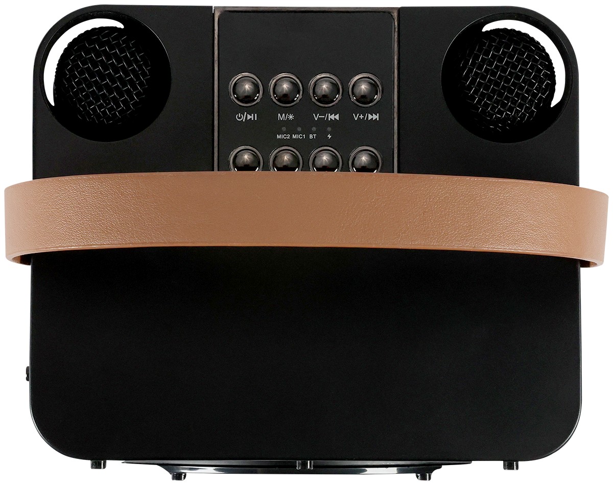 Picture of 15W Karaoke Wireless Speaker with 2 Mics