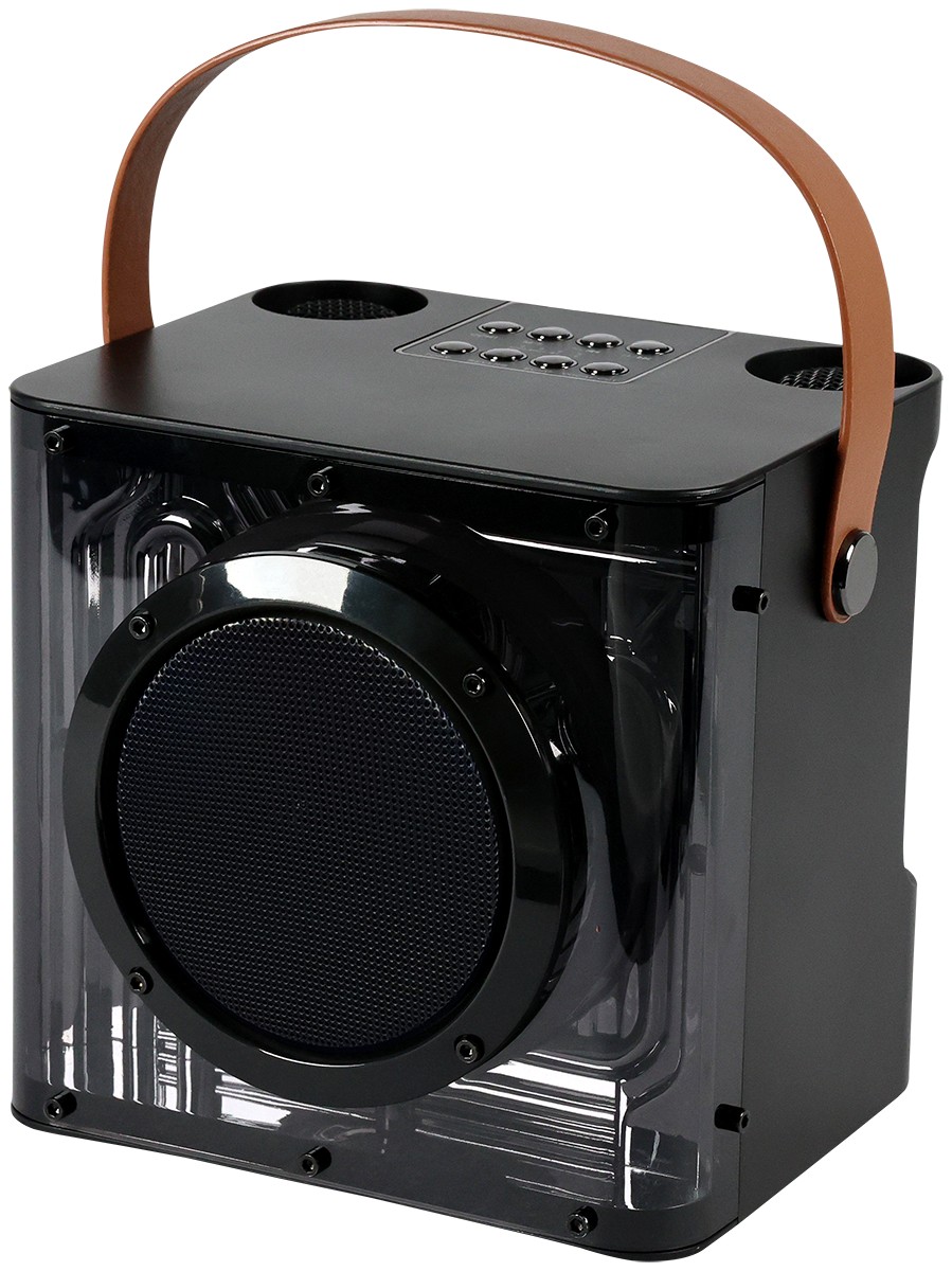 Picture of 15W Karaoke Wireless Speaker with 2 Mics