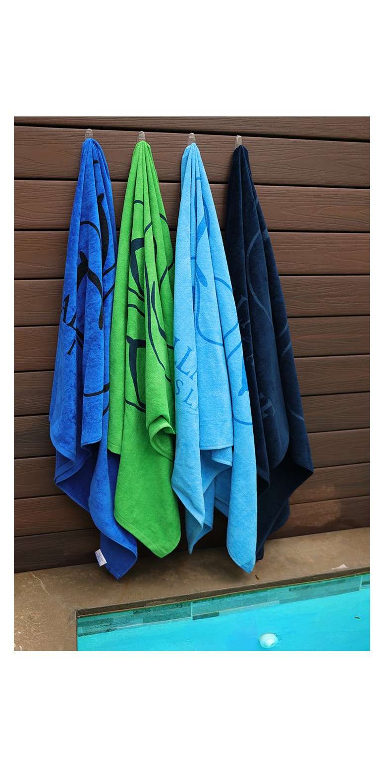 Picture of Platinum Beach Towel
