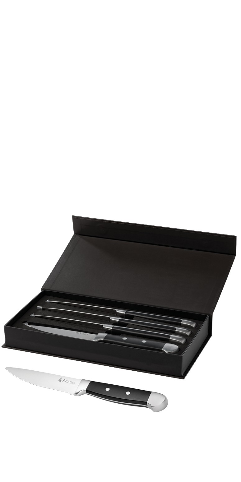 Picture of Oneida Jumbo 4 Piece Steak Knife Set