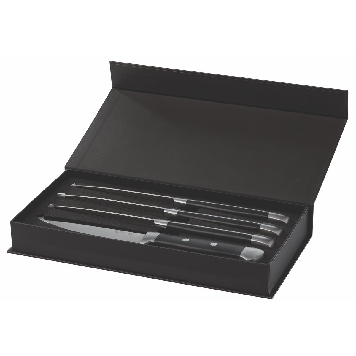 Picture of Oneida Jumbo 4 Piece Steak Knife Set