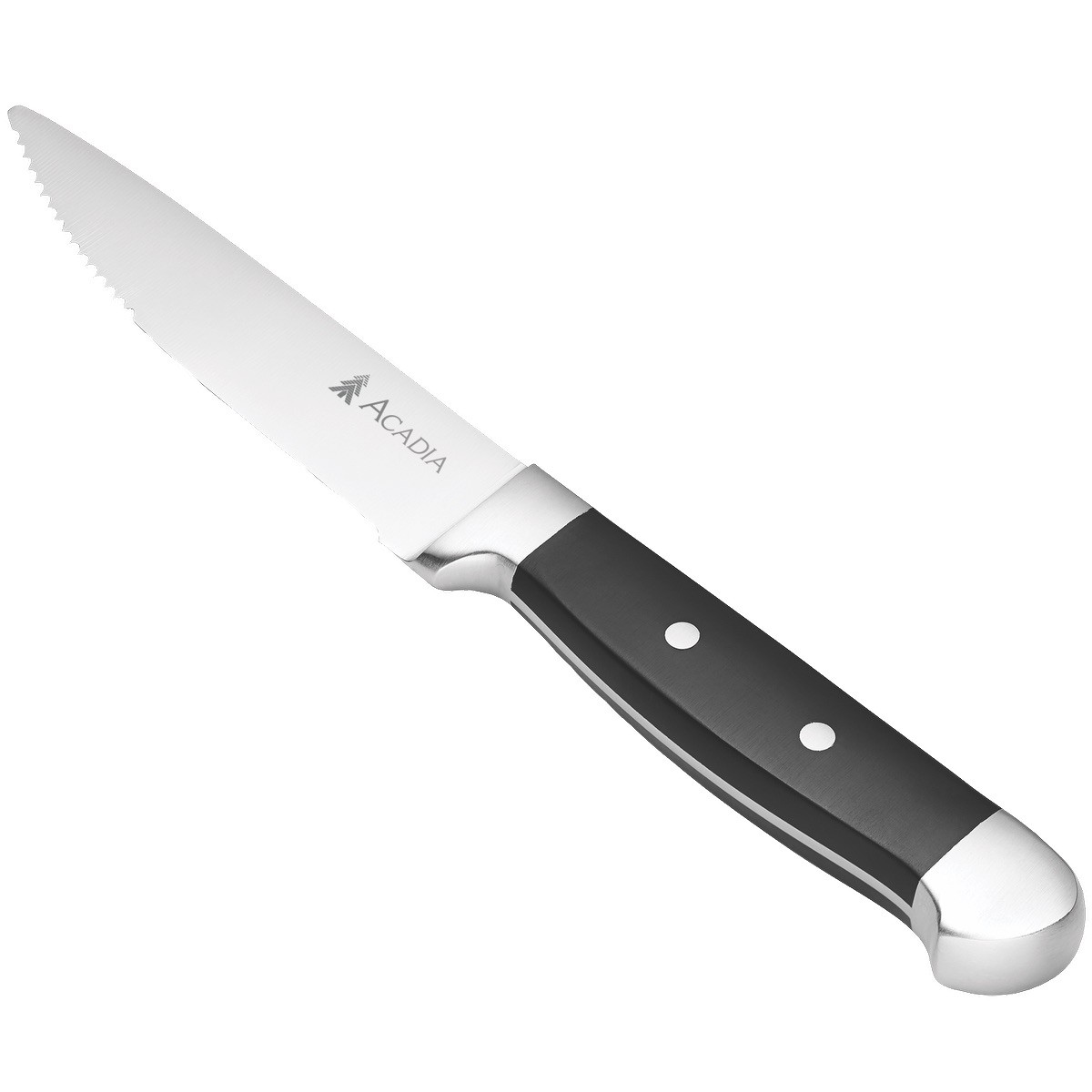 Picture of Oneida Jumbo 4 Piece Steak Knife Set