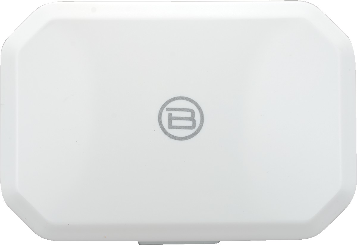 Picture of Biconic Powertune True Wireless Earbuds & Case