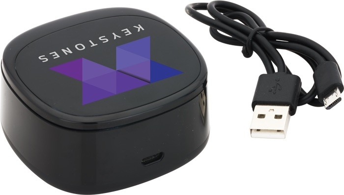 Picture of Swivel TWS Wireless Earbuds and Charger Case