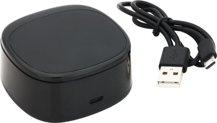 Picture of Swivel TWS Wireless Earbuds and Charger Case