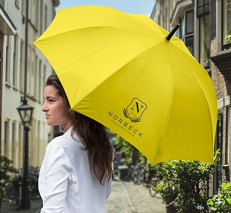 Picture of The City Slicker Classic Stick Auto-Open Umbrella